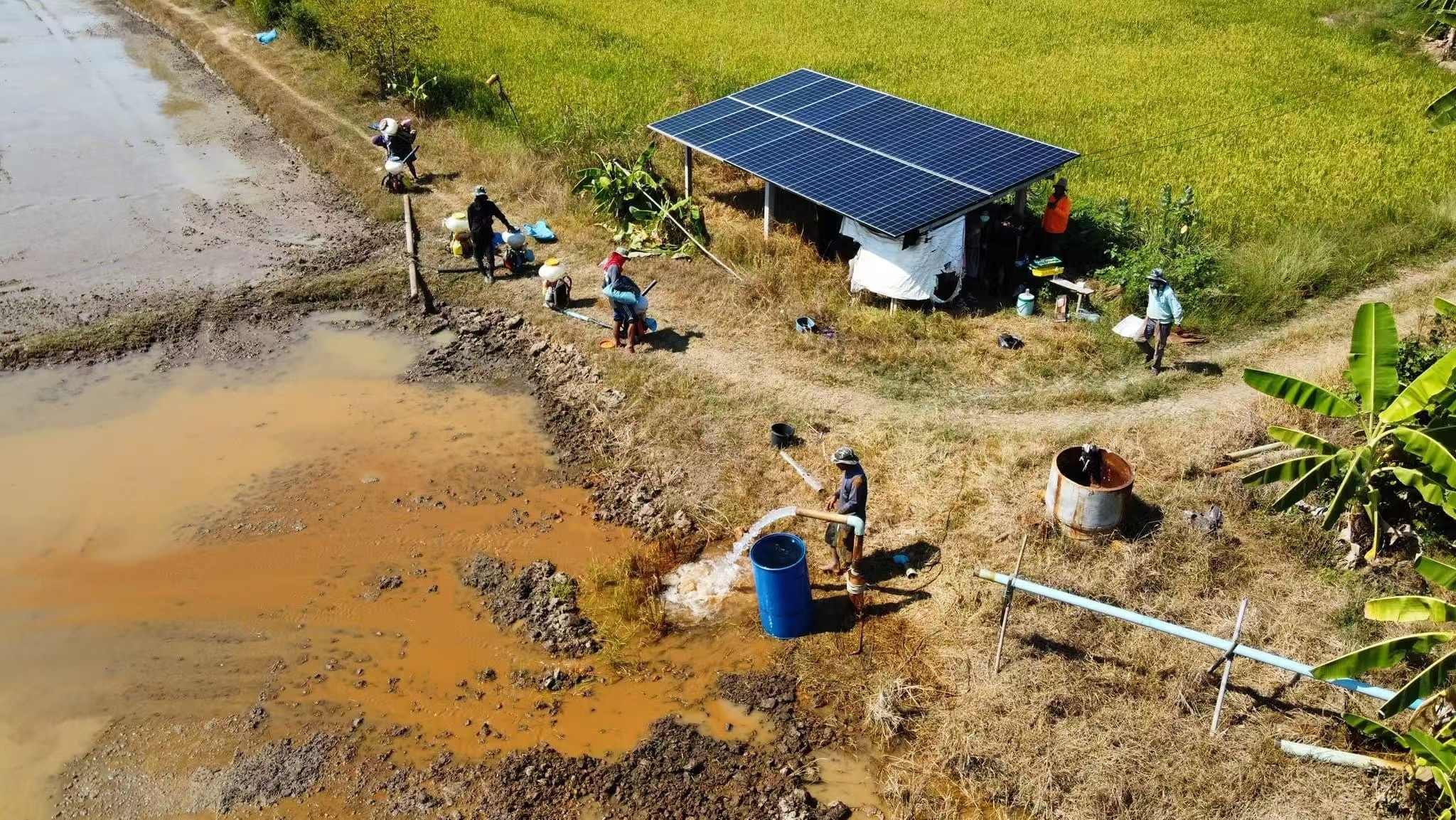 Solar Surface Pumps are applicated in Agriculture?