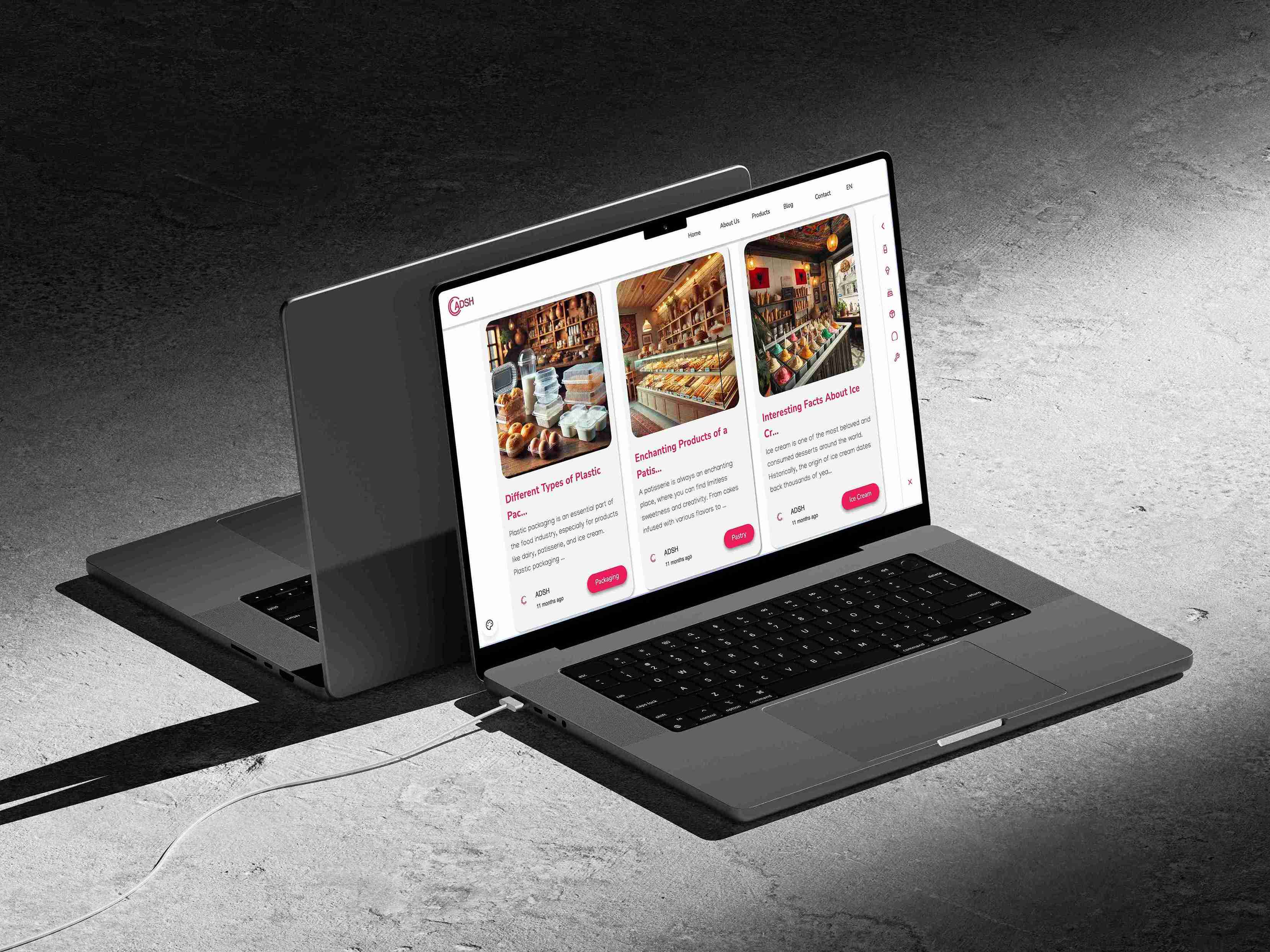 ADSH Website Preview