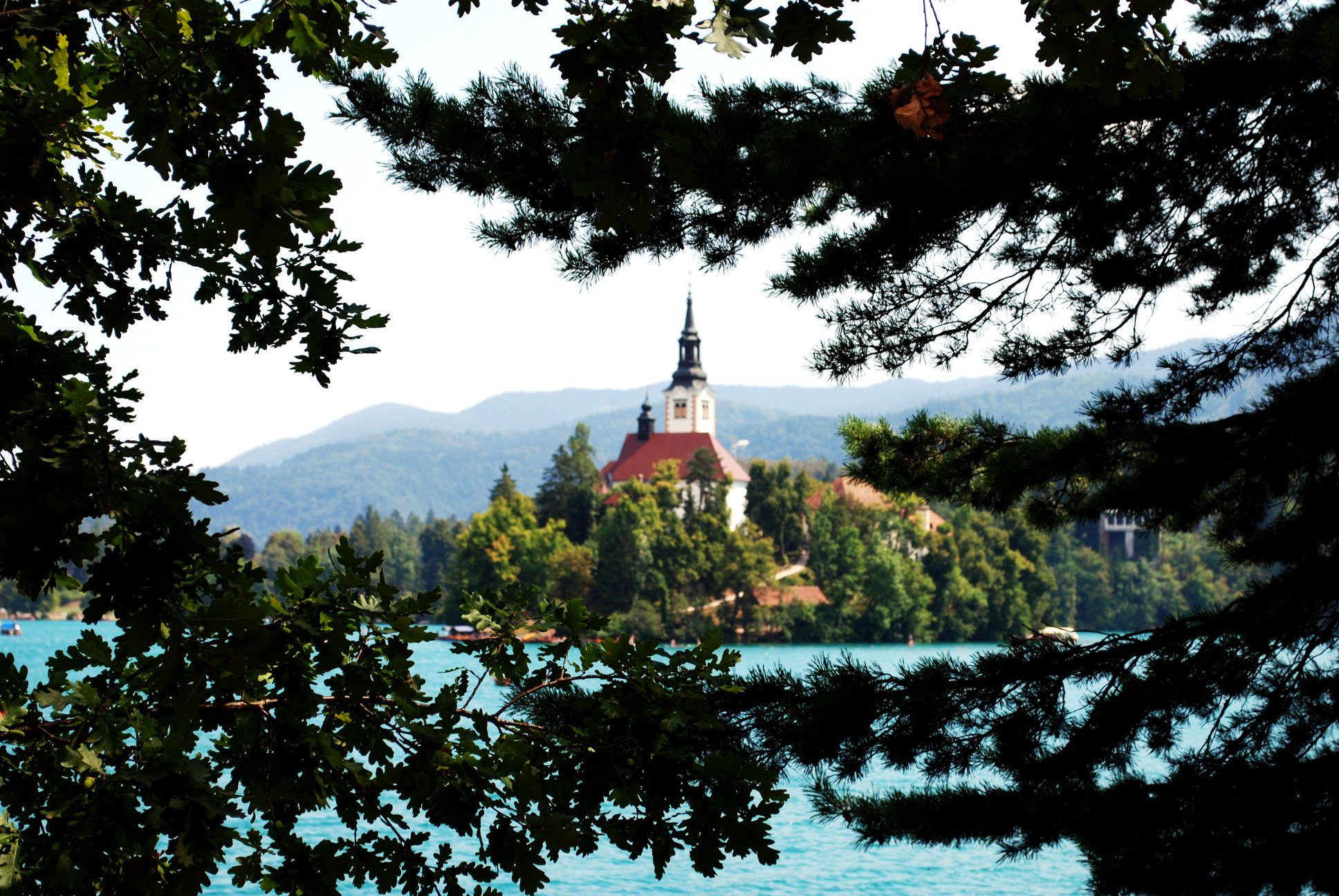 Image of an unmade bed