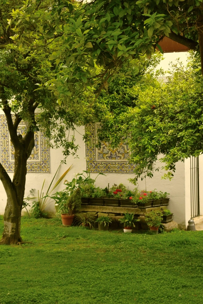 A corner of the kitchen garden with terracotta pots against a white tiled wall.
