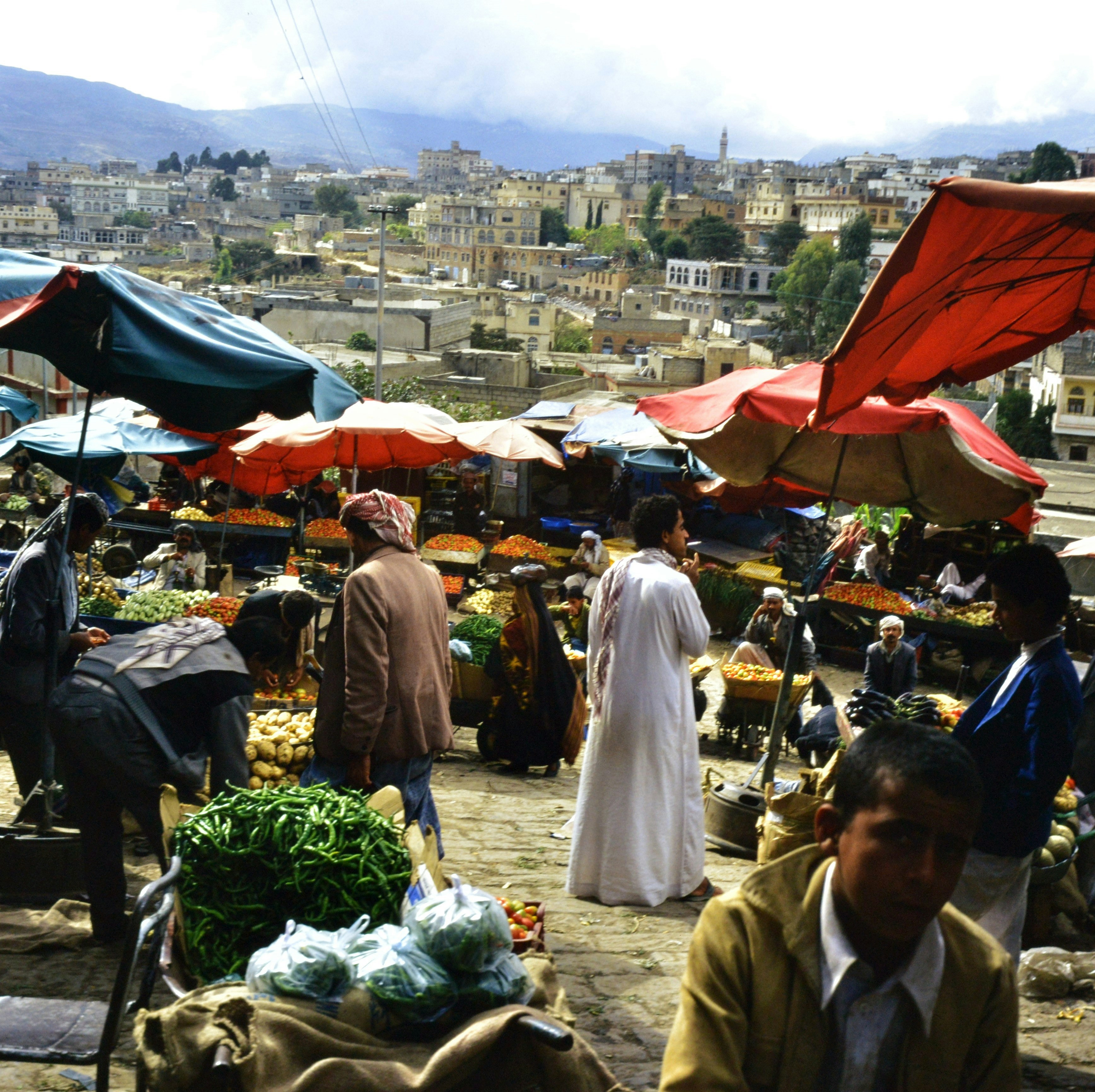 Terraced coffee cultivation in Yemen
