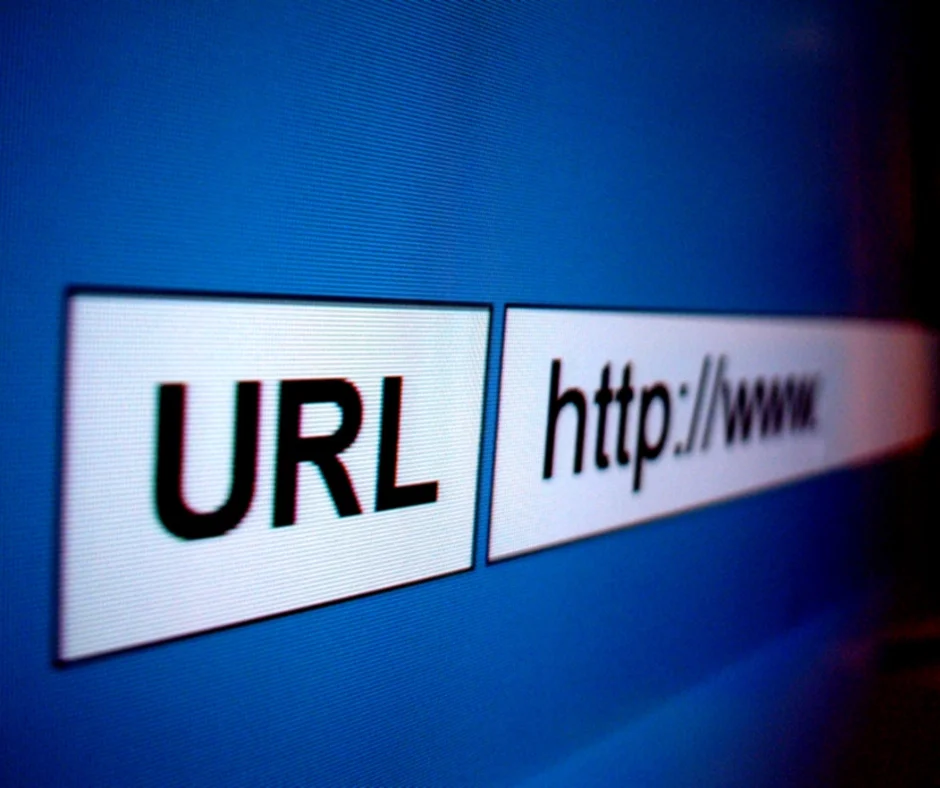 A url search bar