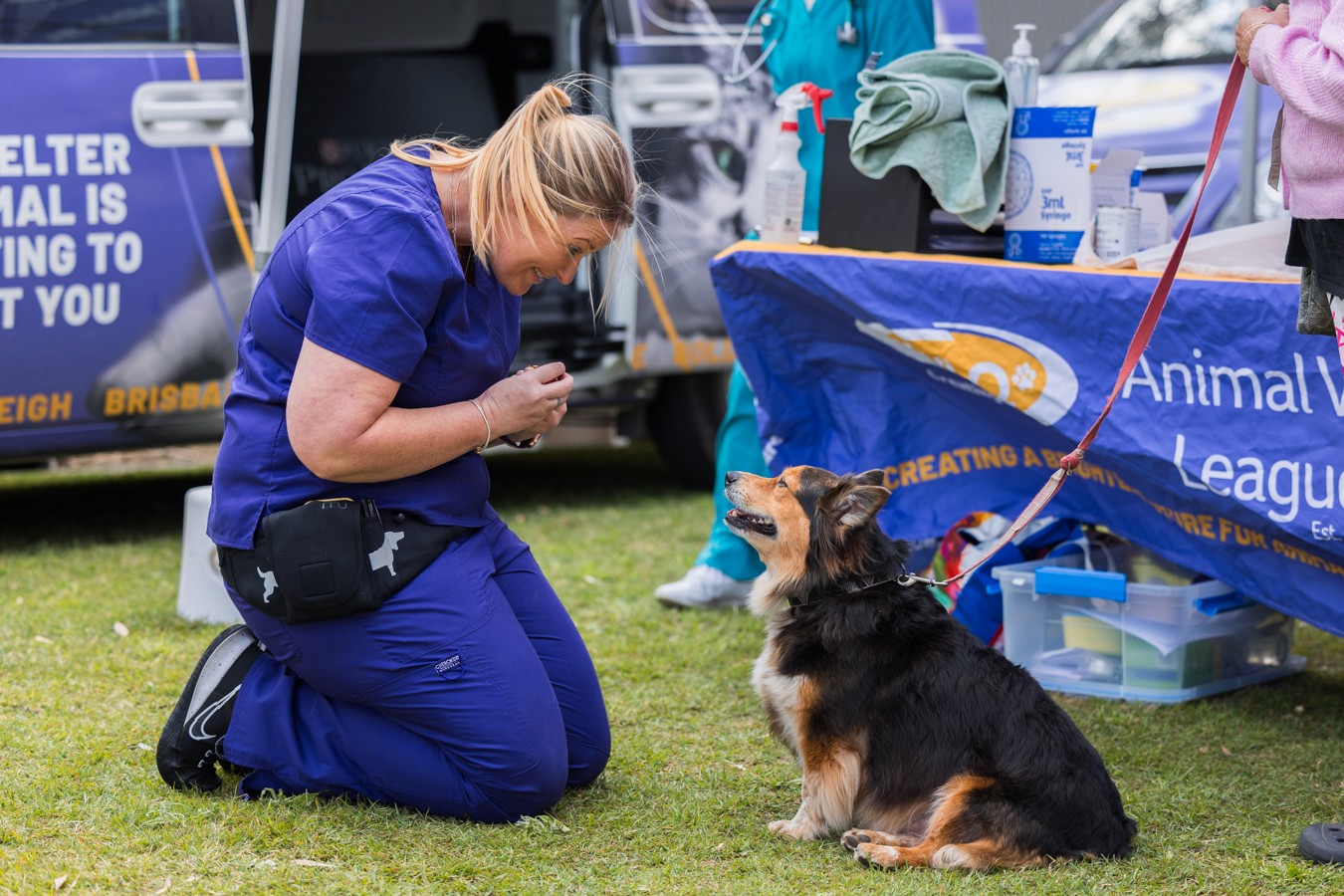 Vet nurse smiling at corgi cross