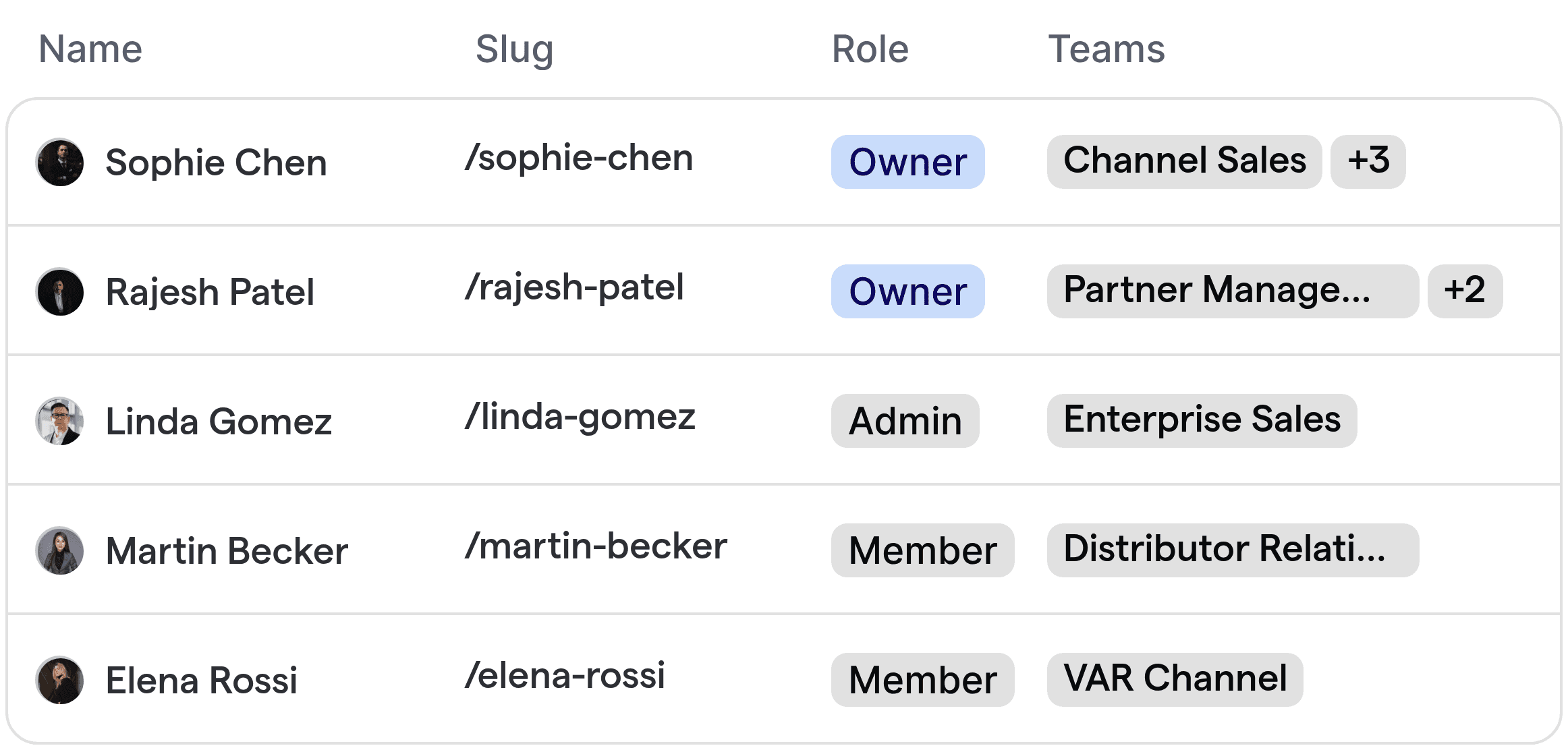 Automated routing of leads to channel sales, partners, and distributor teams