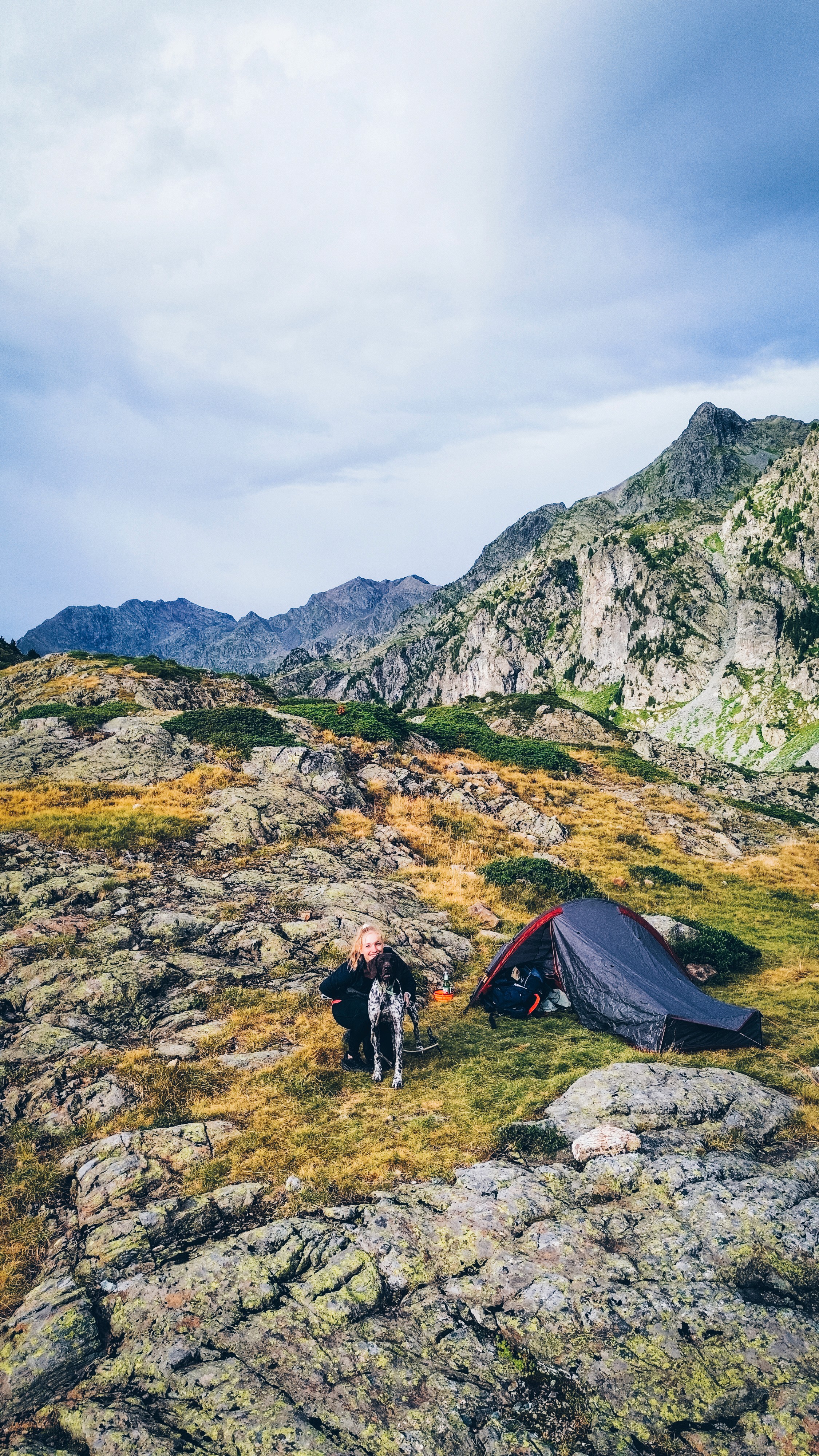 The image featured at the top of the about us page #1