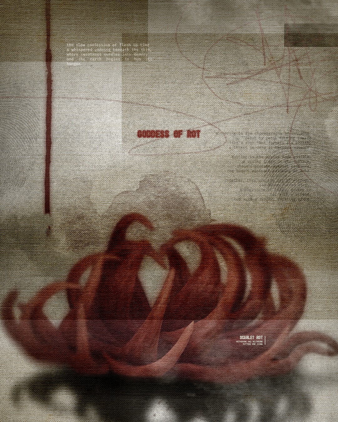 Three feature cards for a cryptocurrency wallet interface displayed against a light green background. The left card shows 'Swap Tokens' with SOL and ETH token selectors, the middle card displays 'Collect NFTs' with colorful NFT artwork examples, and the right card presents 'Private & Secure' with a fingerprint icon and wallet security messaging.