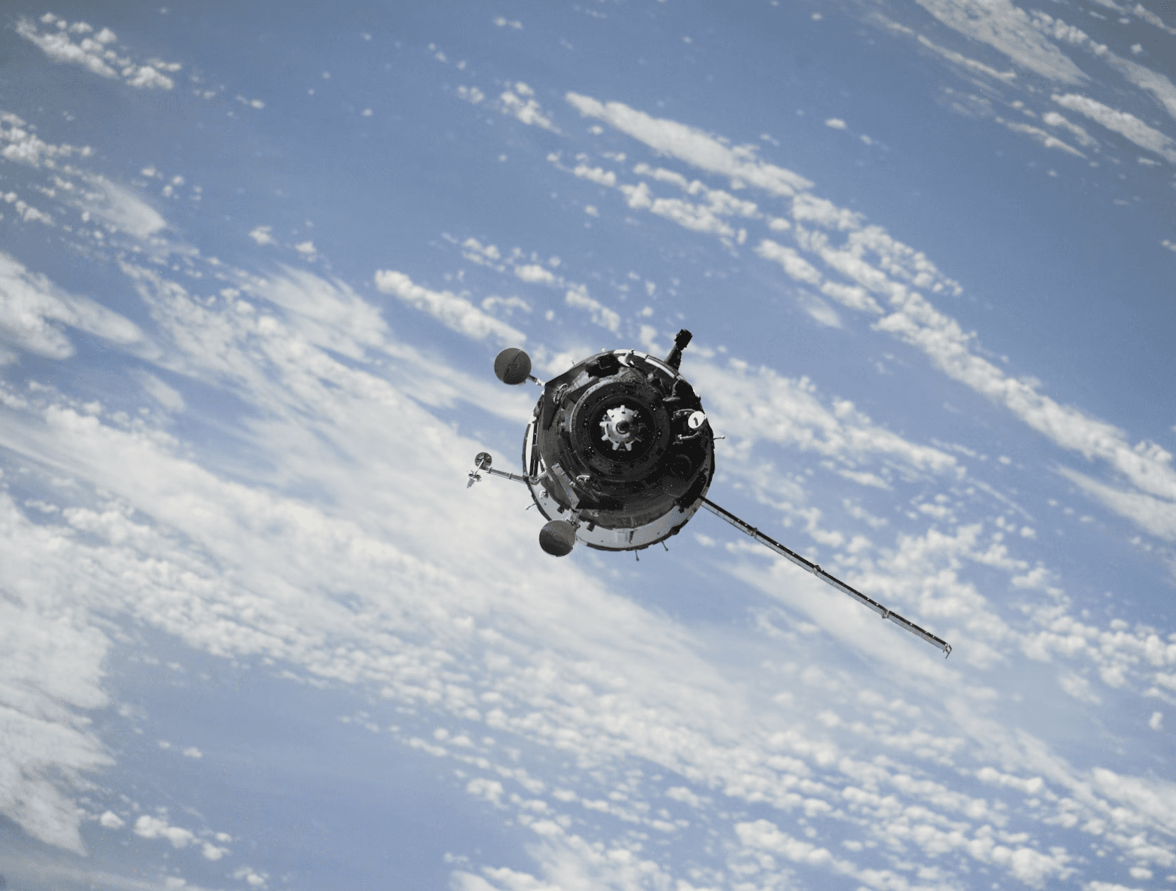Close-up of lush, dark green leaves, some glossy and wet, against a muted background.