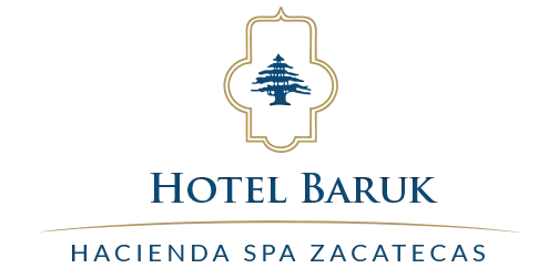 Hoteles Baruk