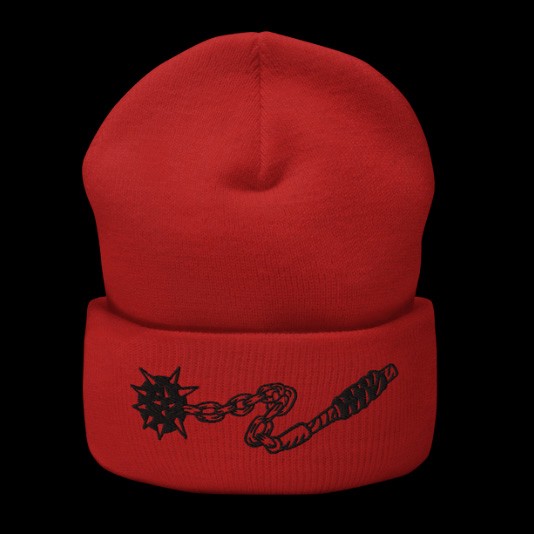 Swift Saint Flail Beanie