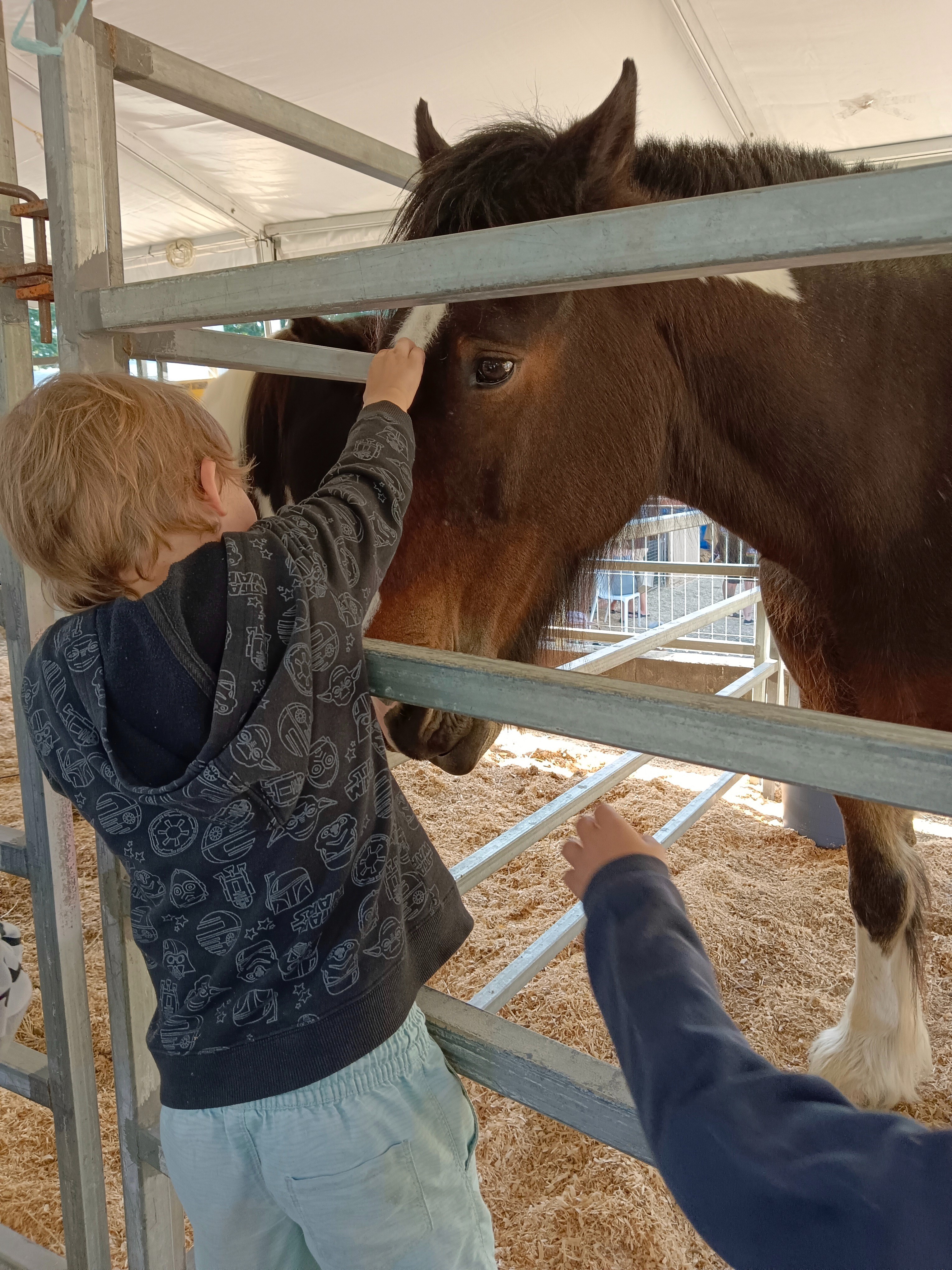 Customer Review Avatar