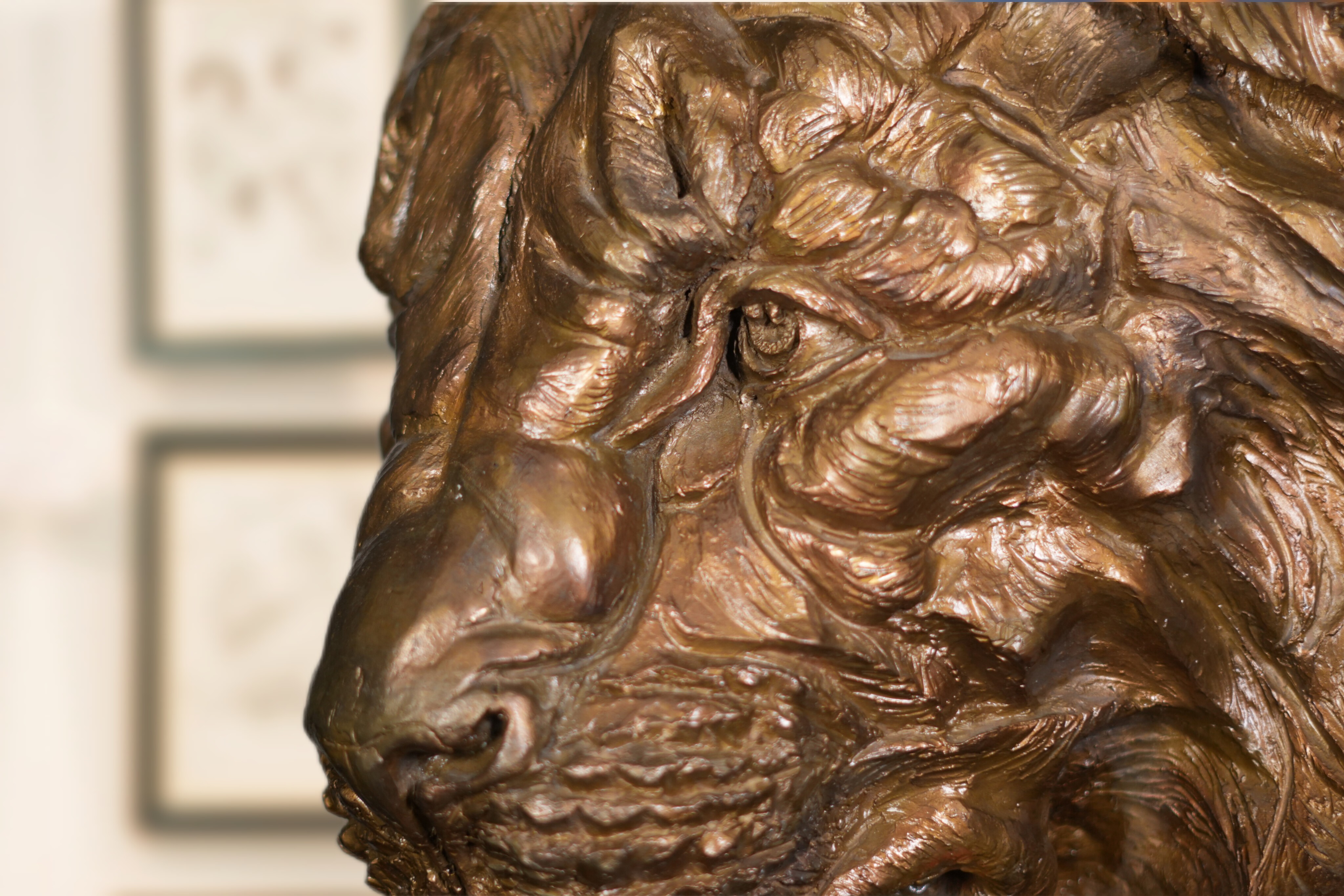 Bronze sculpture of a Lion's head