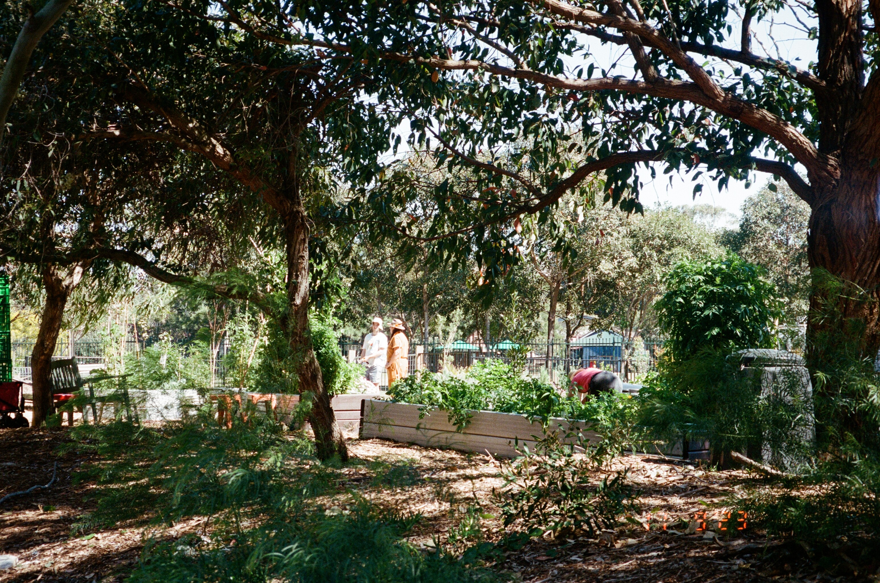 Beautiful landscaped garden with greenery and outdoor design elements.