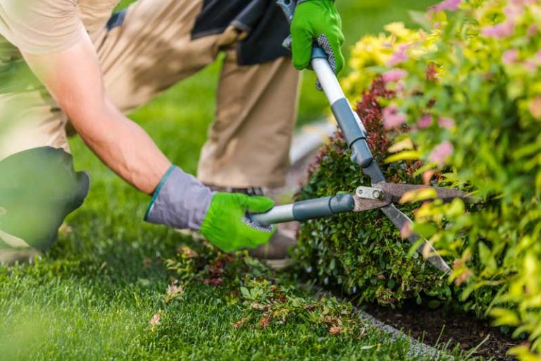 Gartenbau und -pflege