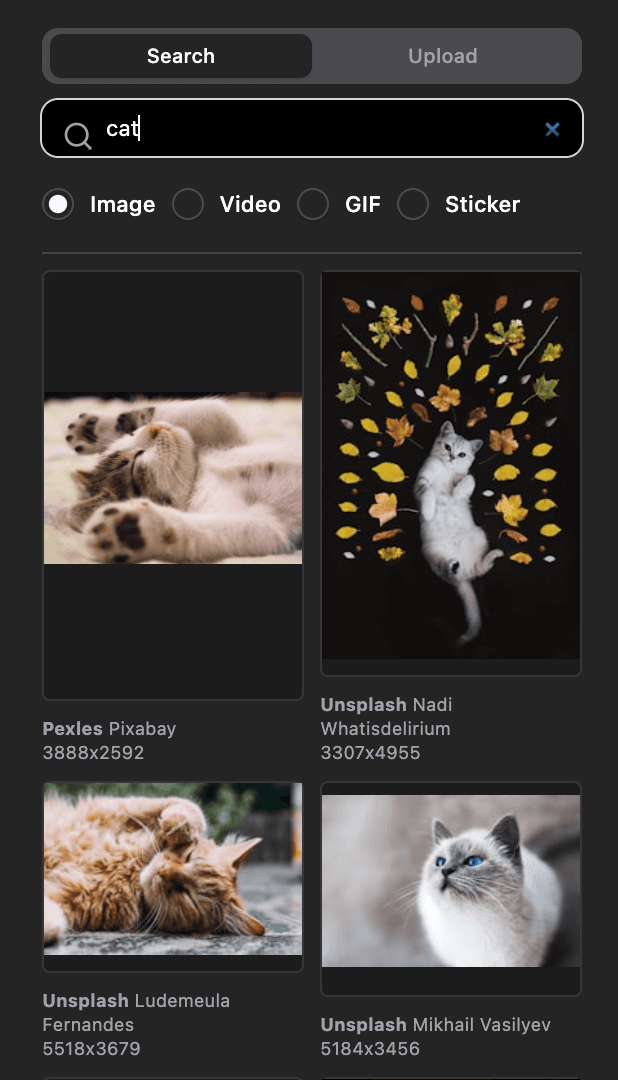 Screenshot of image search result of cat in Cutback