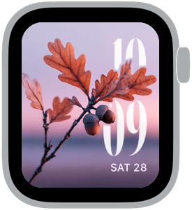 cranberry dusk Apple Watch face preview 1 featuring thanksgiving and autumn.