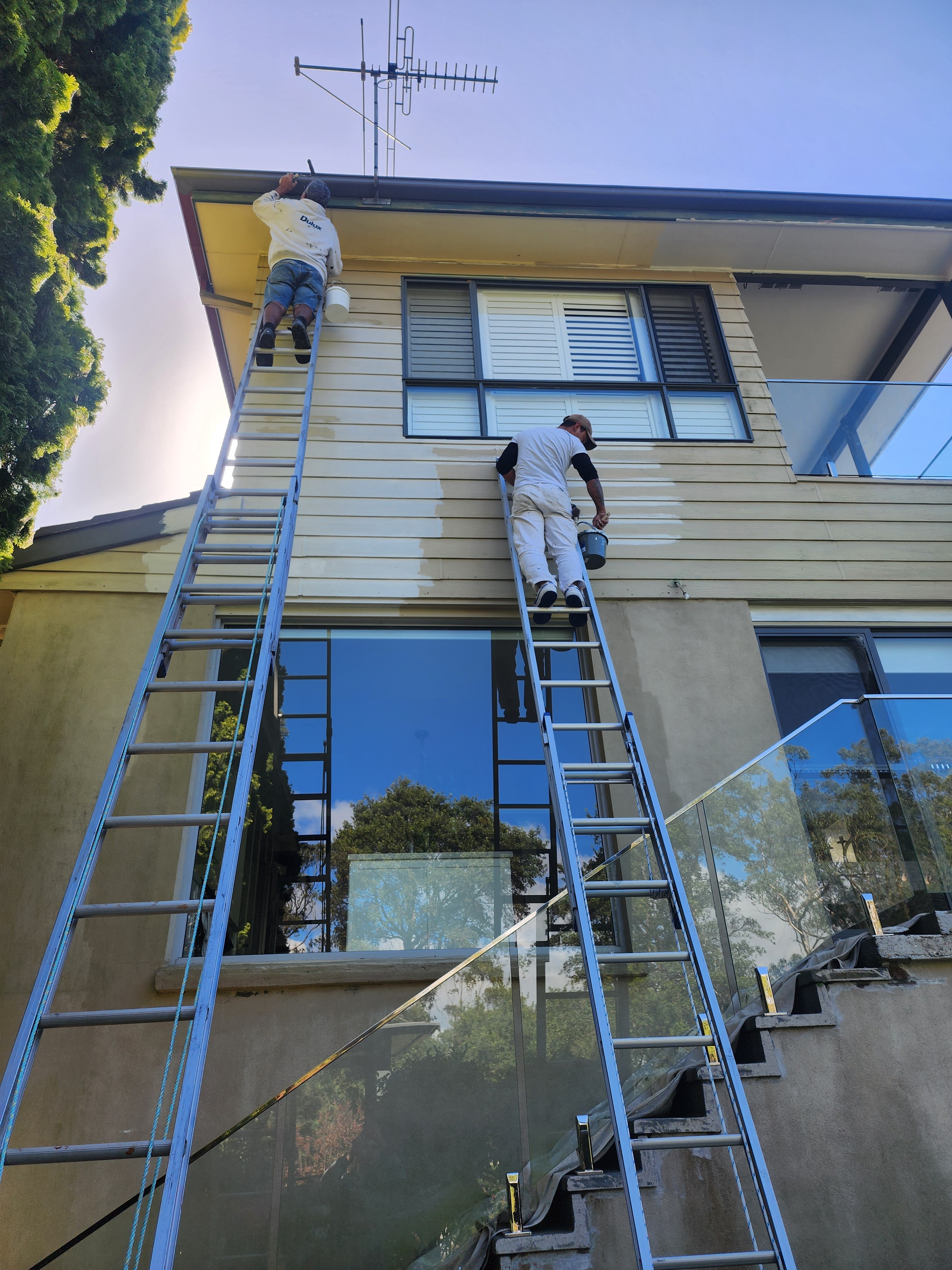 website designer home service nz