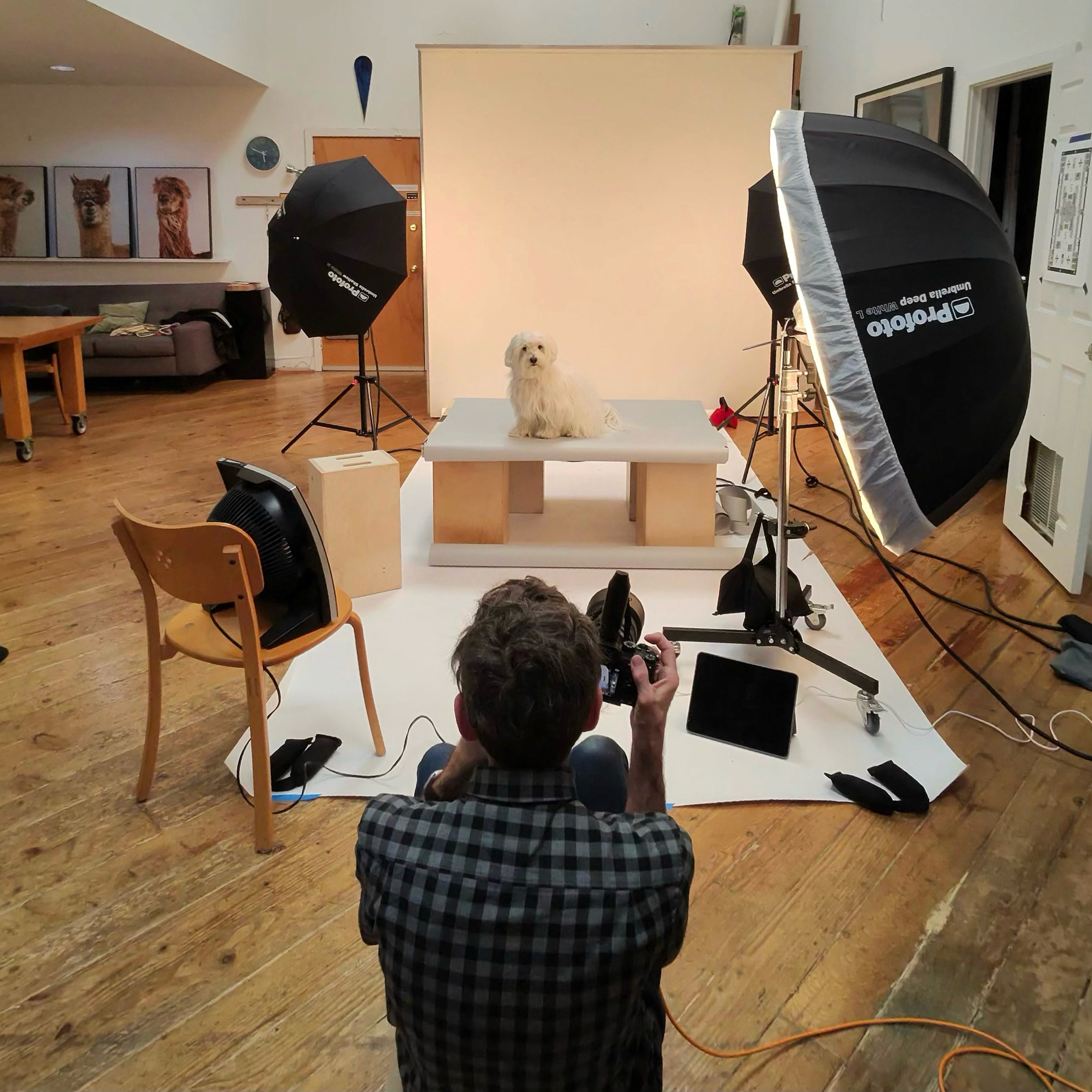 a woman with flowers