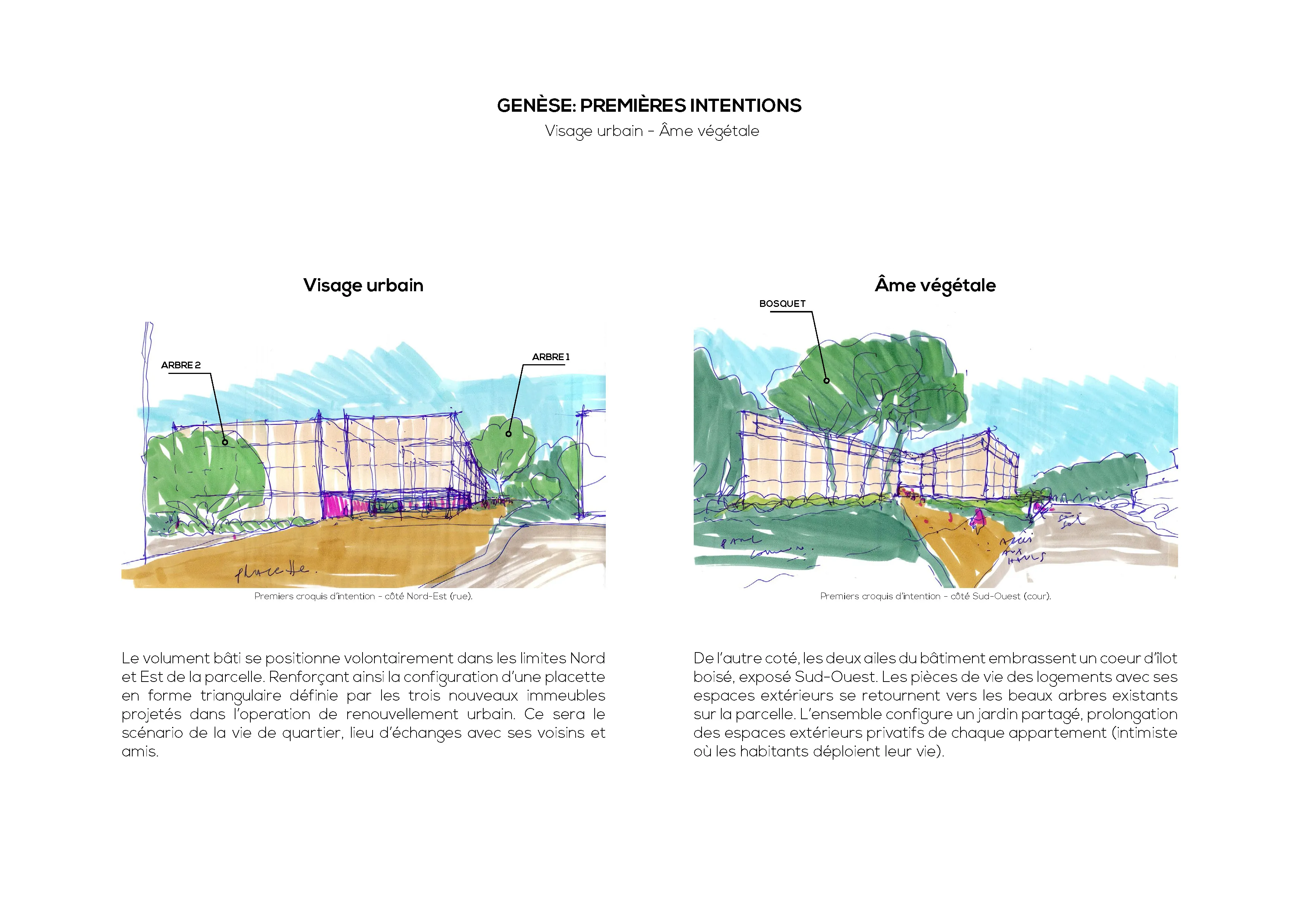 Logements collectifs - Guidel - shéma