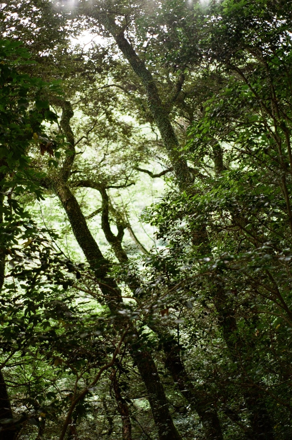 a cell phone leaning on a ledge