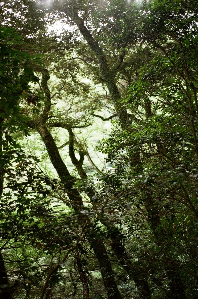 a cell phone leaning on a ledge