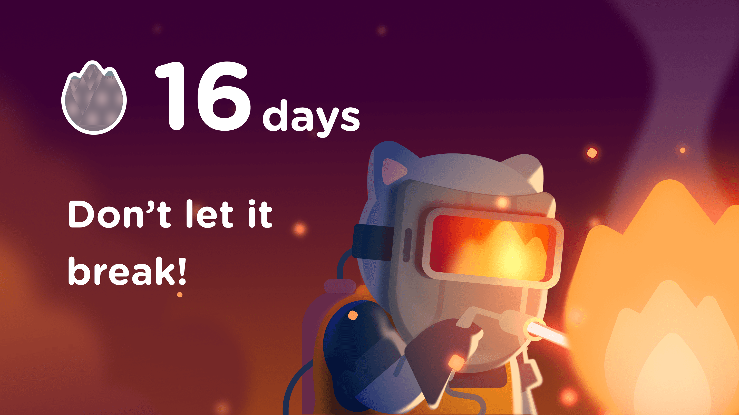 Large Project Gallery Image #2