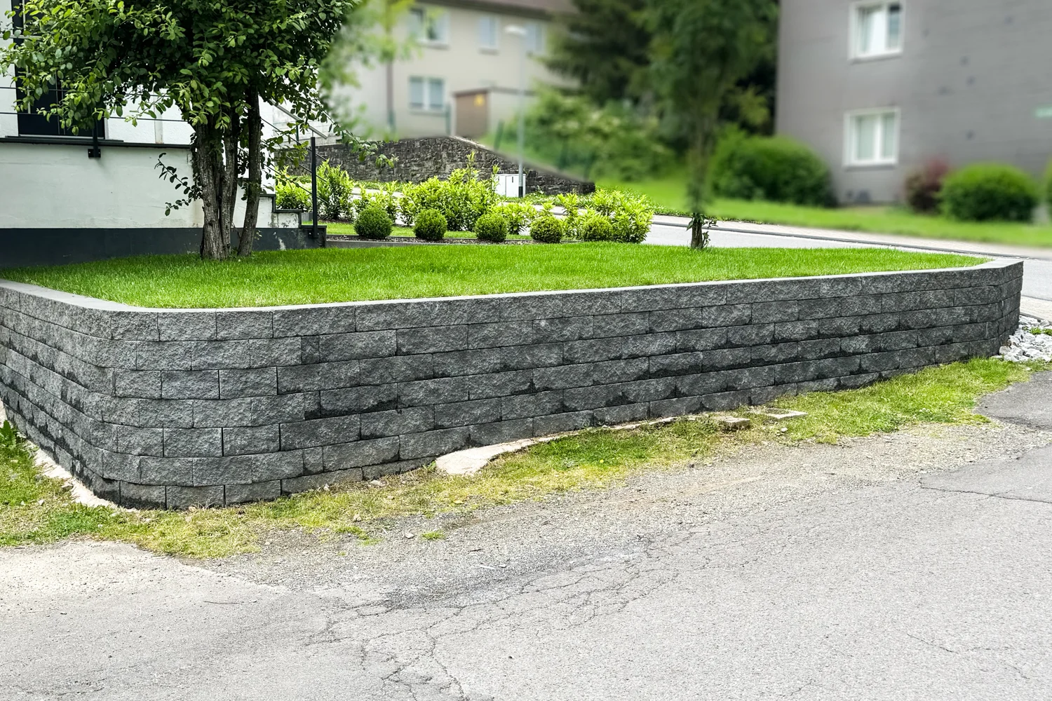 Moderne Gabionenwand im Garten in Köln