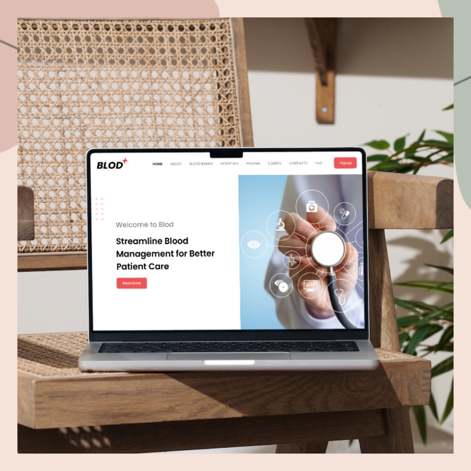 Web Design