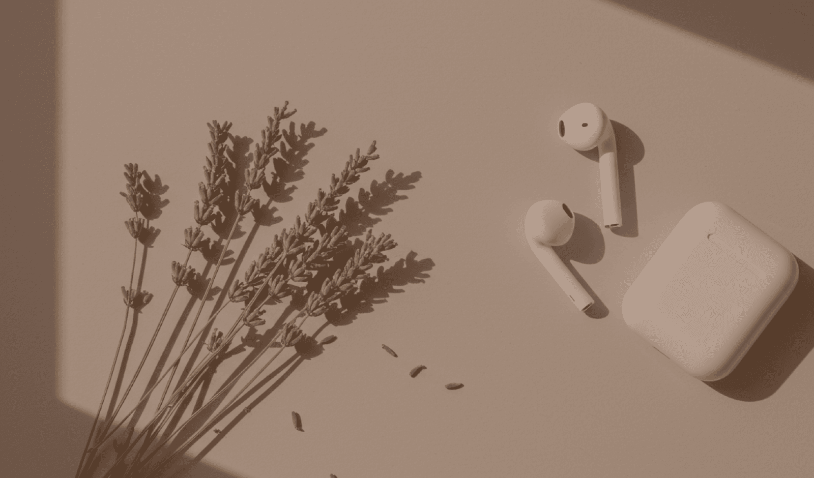 Background Sessão 1 - Psi Rachel Werneck