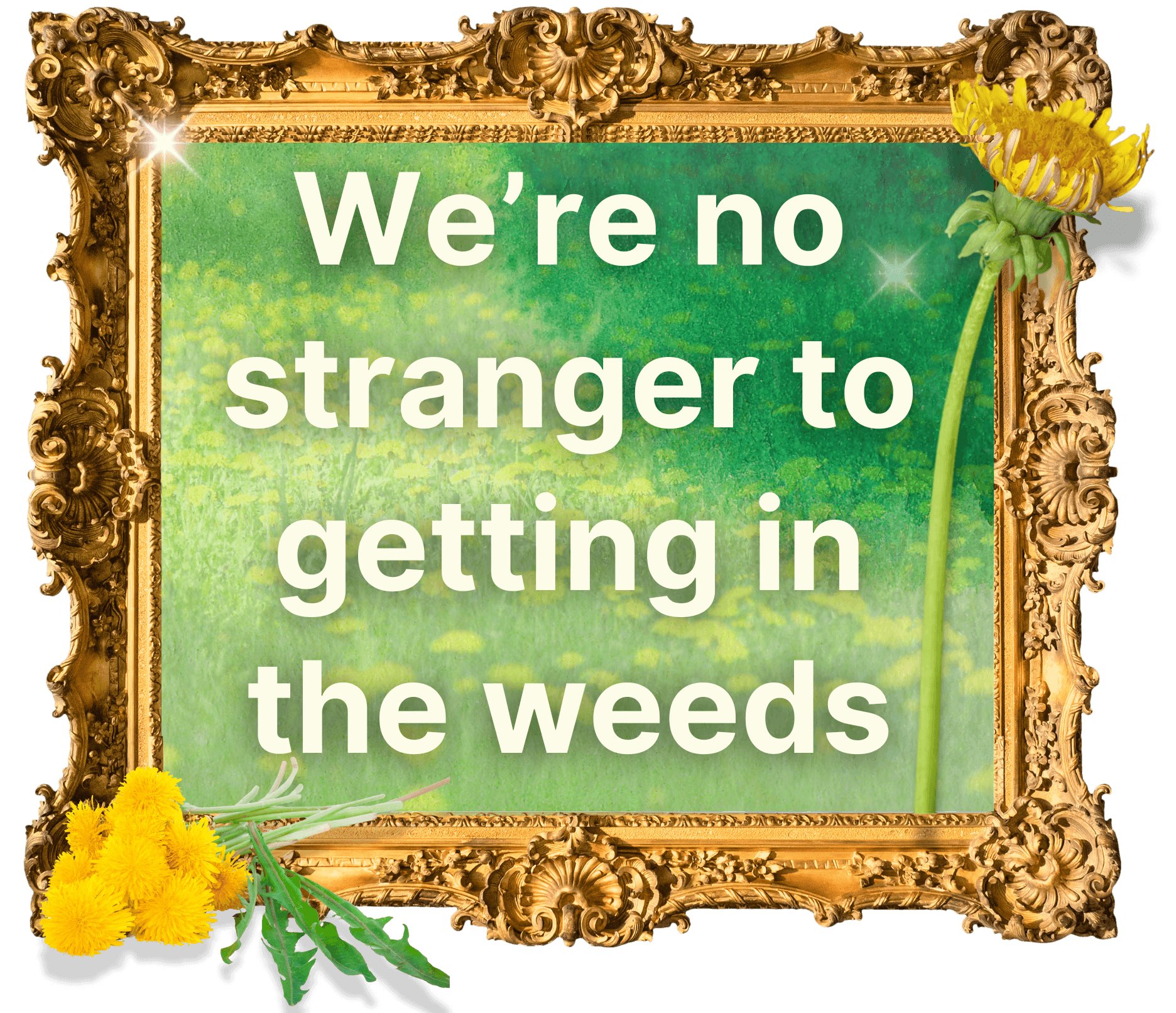 A Monet background with dandelions, text reads: "We're no stranger to getting in the weeds." Hewes House has freelance book editors near me, editors for books, and the top book editors online. 