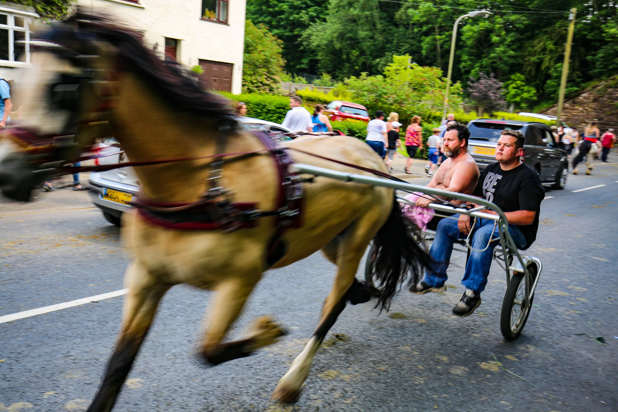 Horse and sulky racing down a road at Appleby Fair