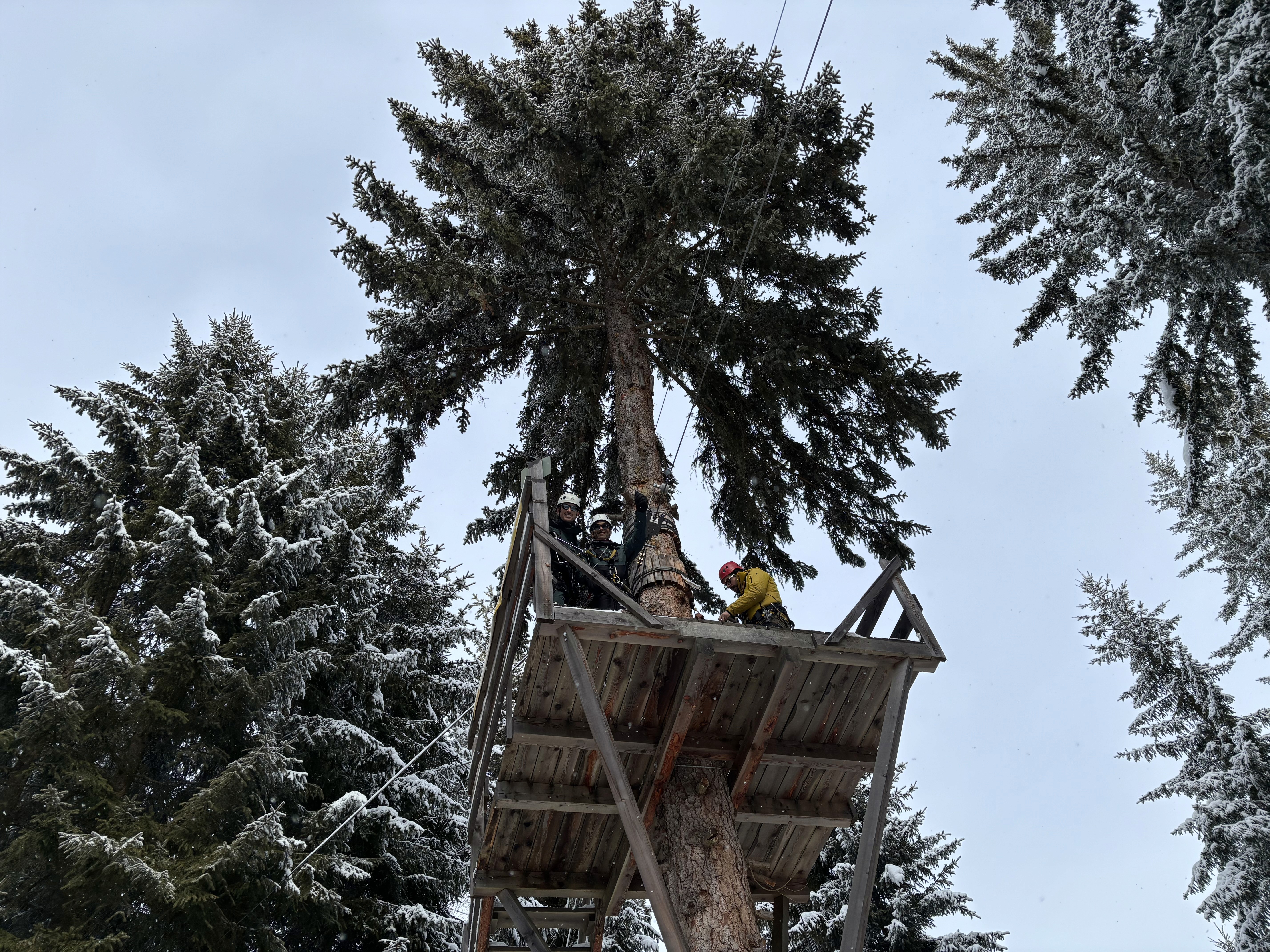 Snow-covered chalet venue for IQUW corporate ski event