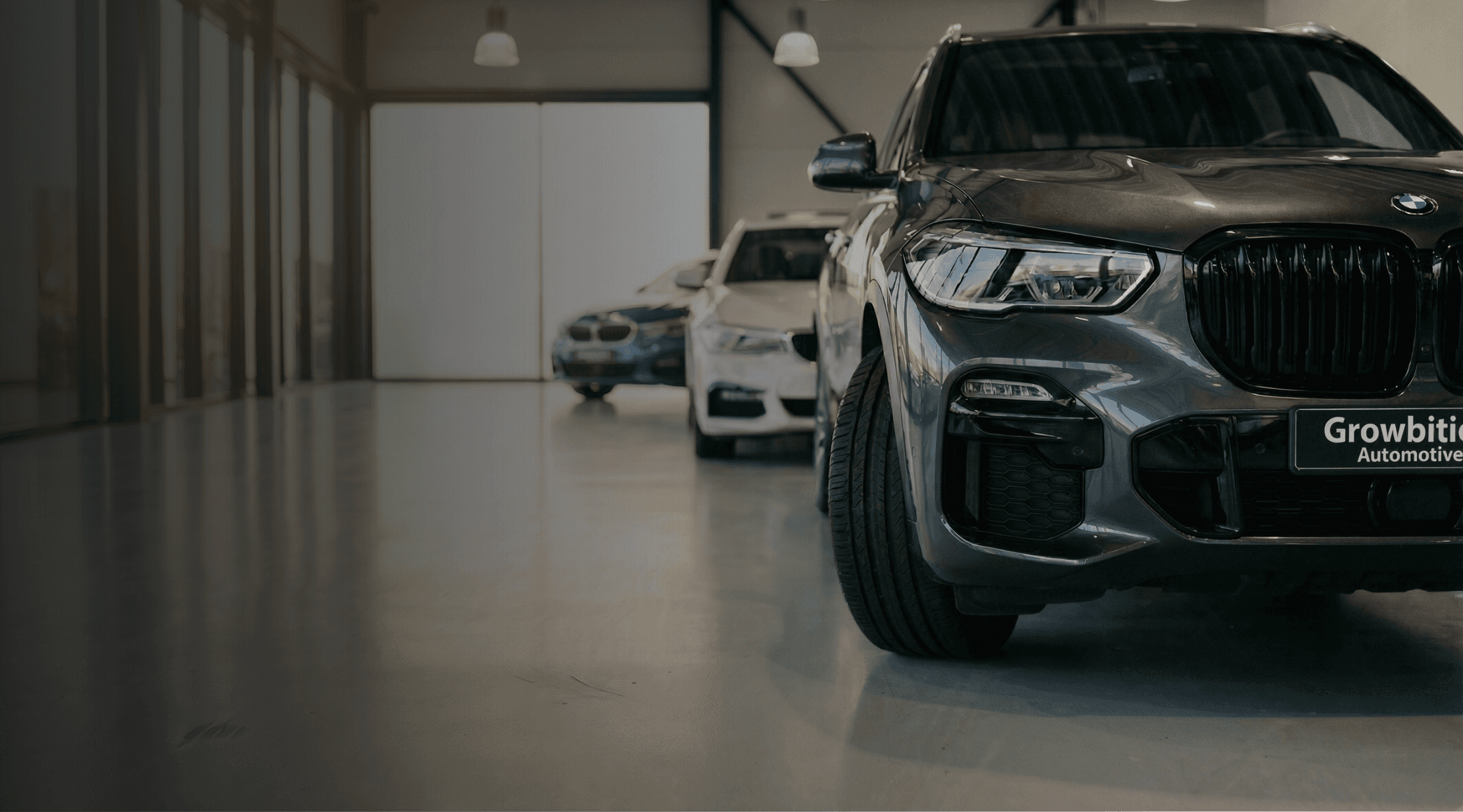 Een kiemend zaadje dat door donkere, vruchtbare aarde breekt — symbool voor digitale groei en het begin van een groeisysteem.