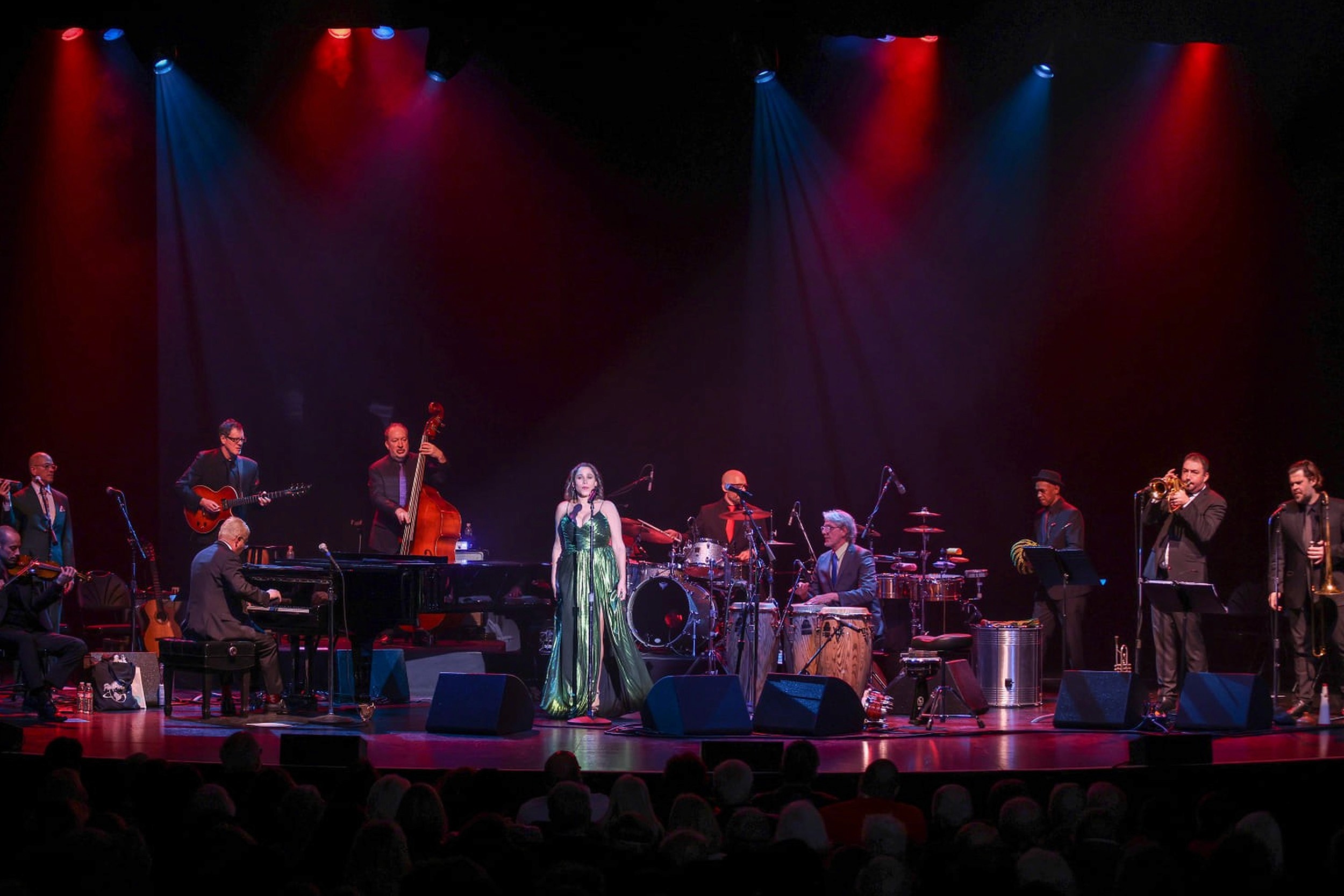 A Pink Martini live concert with crowd of concert-goers in foreground.