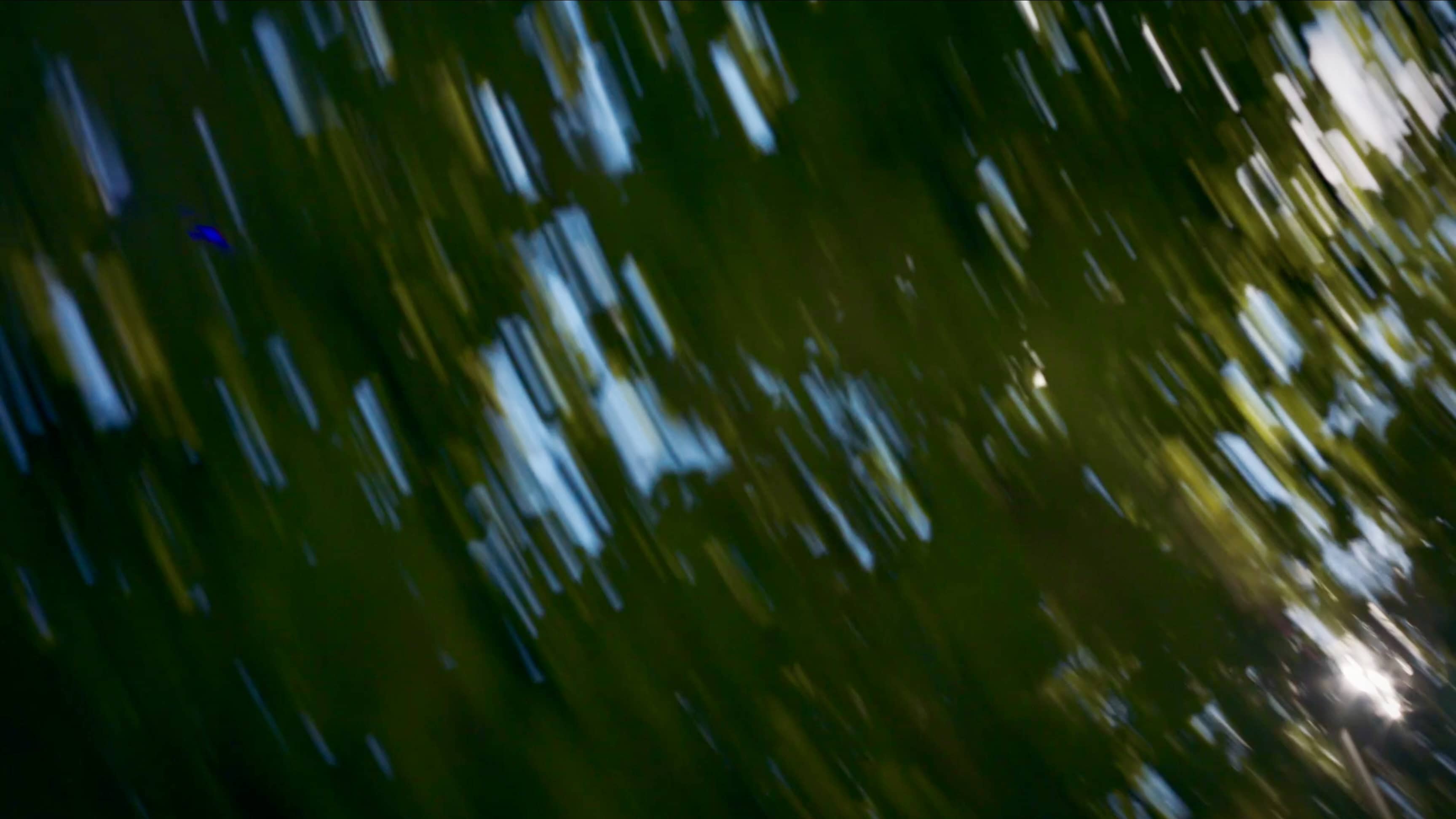 Motion-Blur-Moment