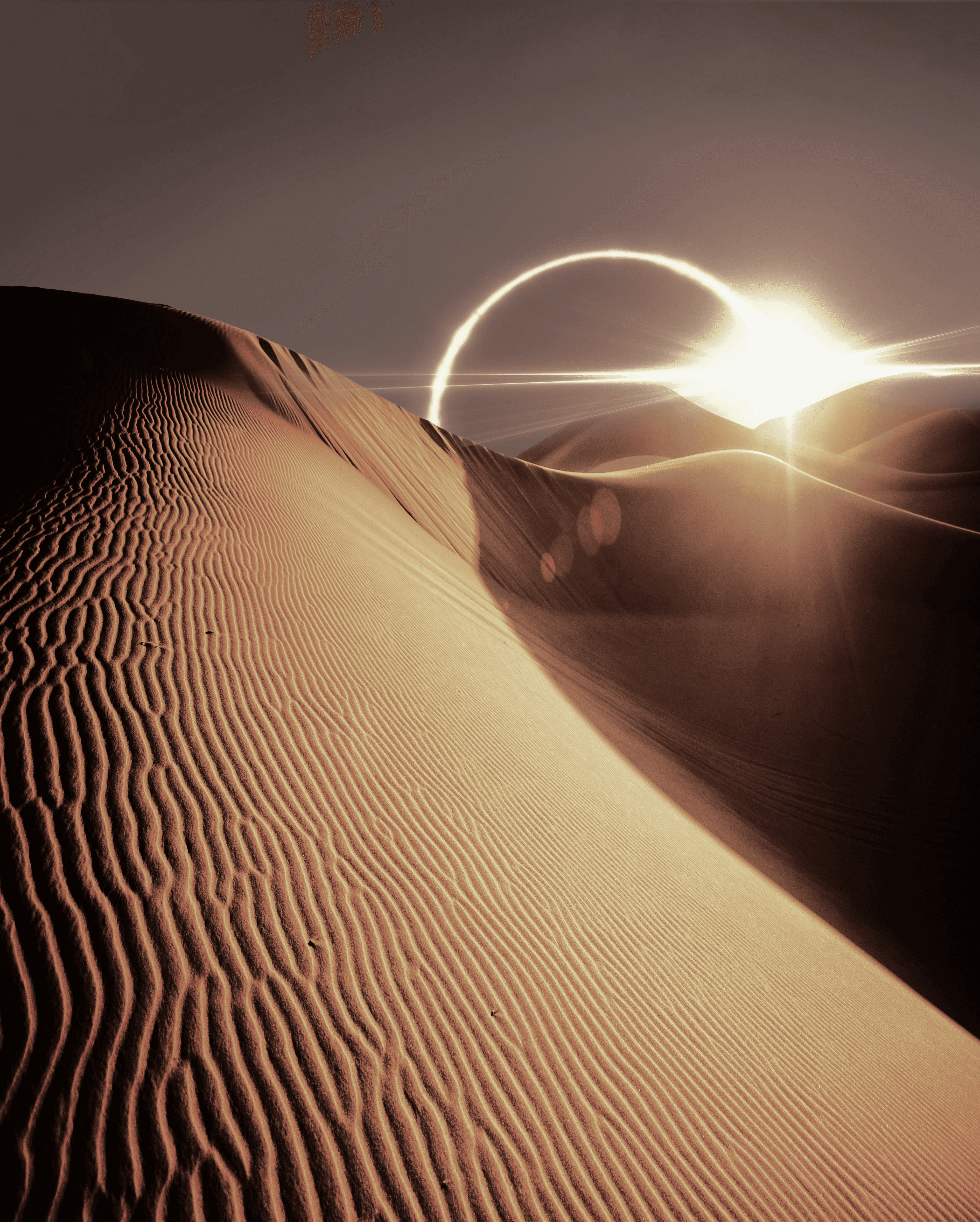 The sun is shining over a sand dune