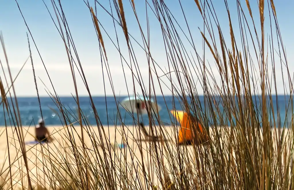 Vue de plage sur le littoral du Bassin d'Arcachon près du Cap-Ferret