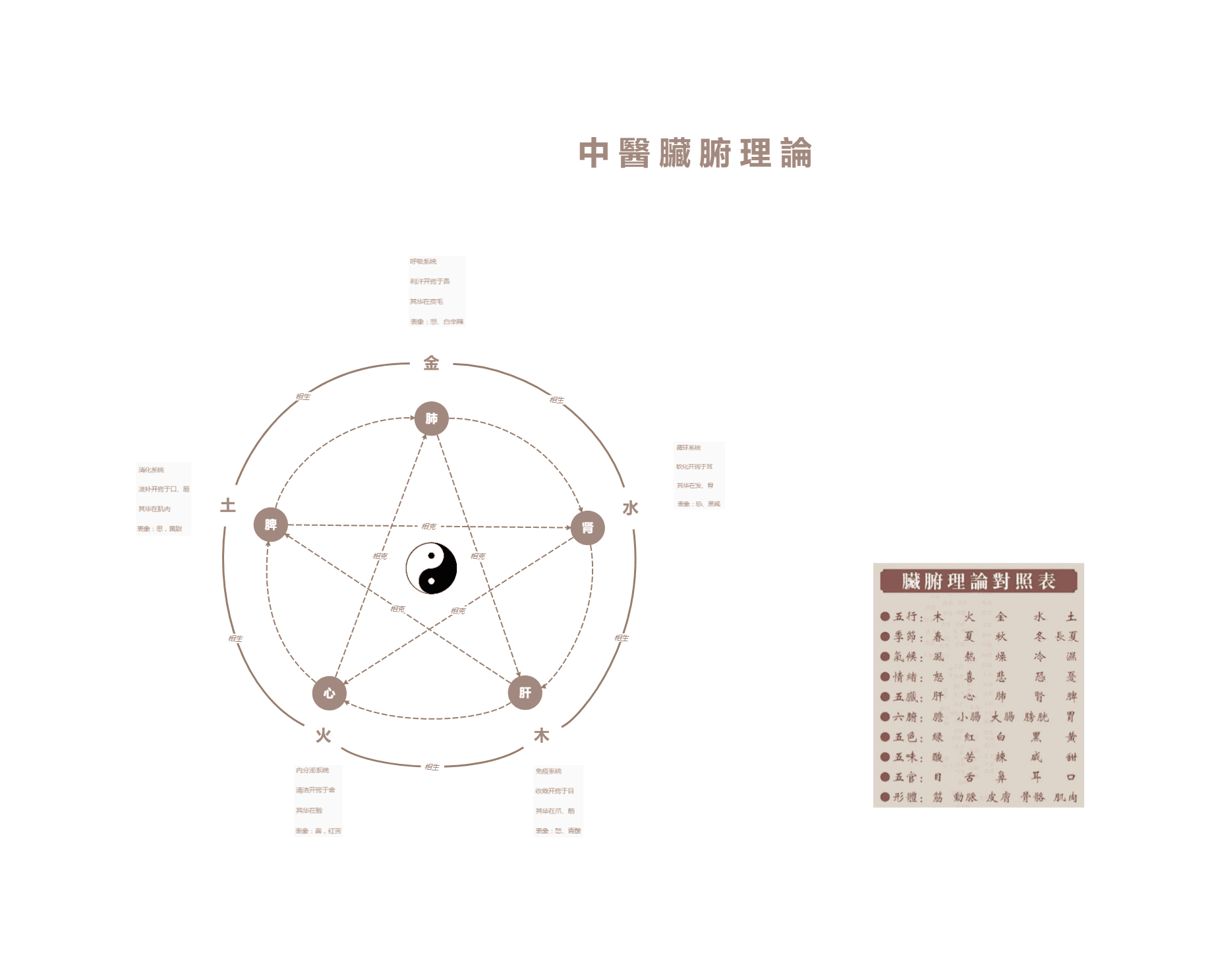 中医脏腑理论图示