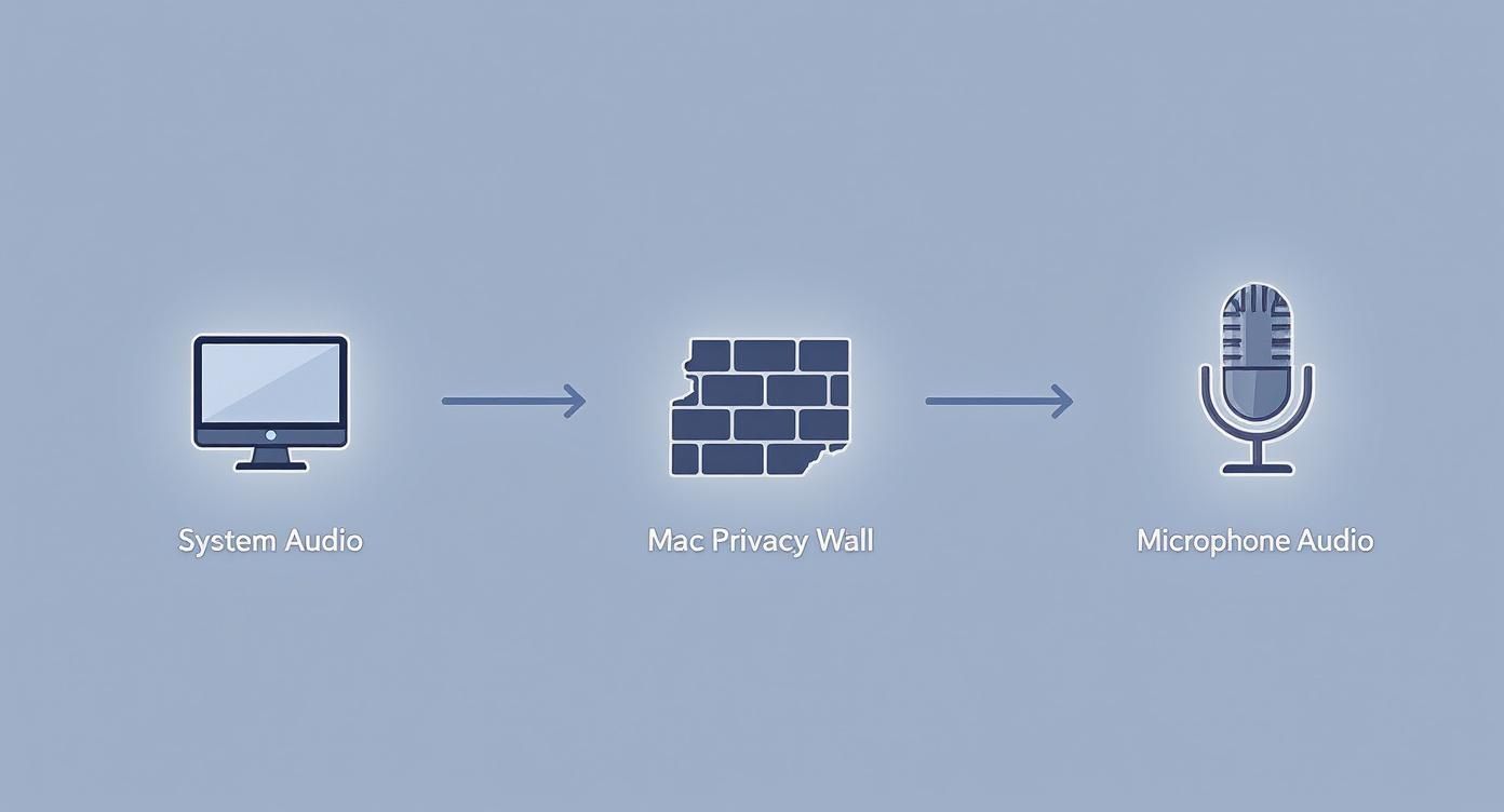 A diagram illustrating how Mac Privacy Wall prevents system audio from direct microphone access.