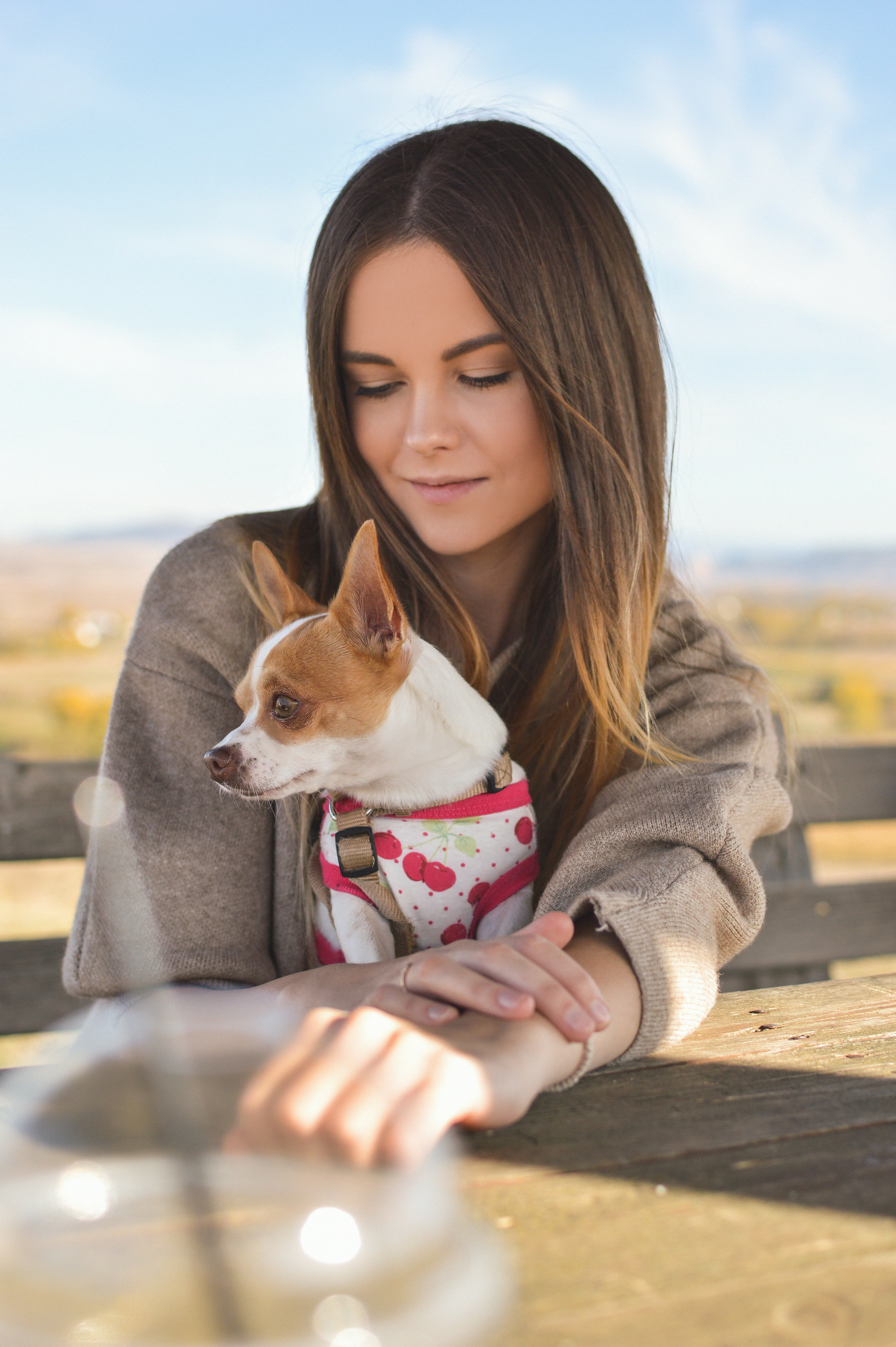 tilt-shift photography of woman behind short-coated white and brown puppy