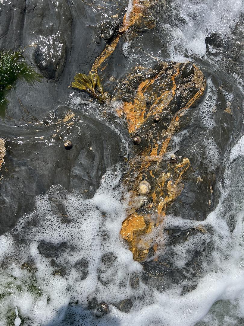 Shoshannah Phoenix - Heal  - Rocks in sea water