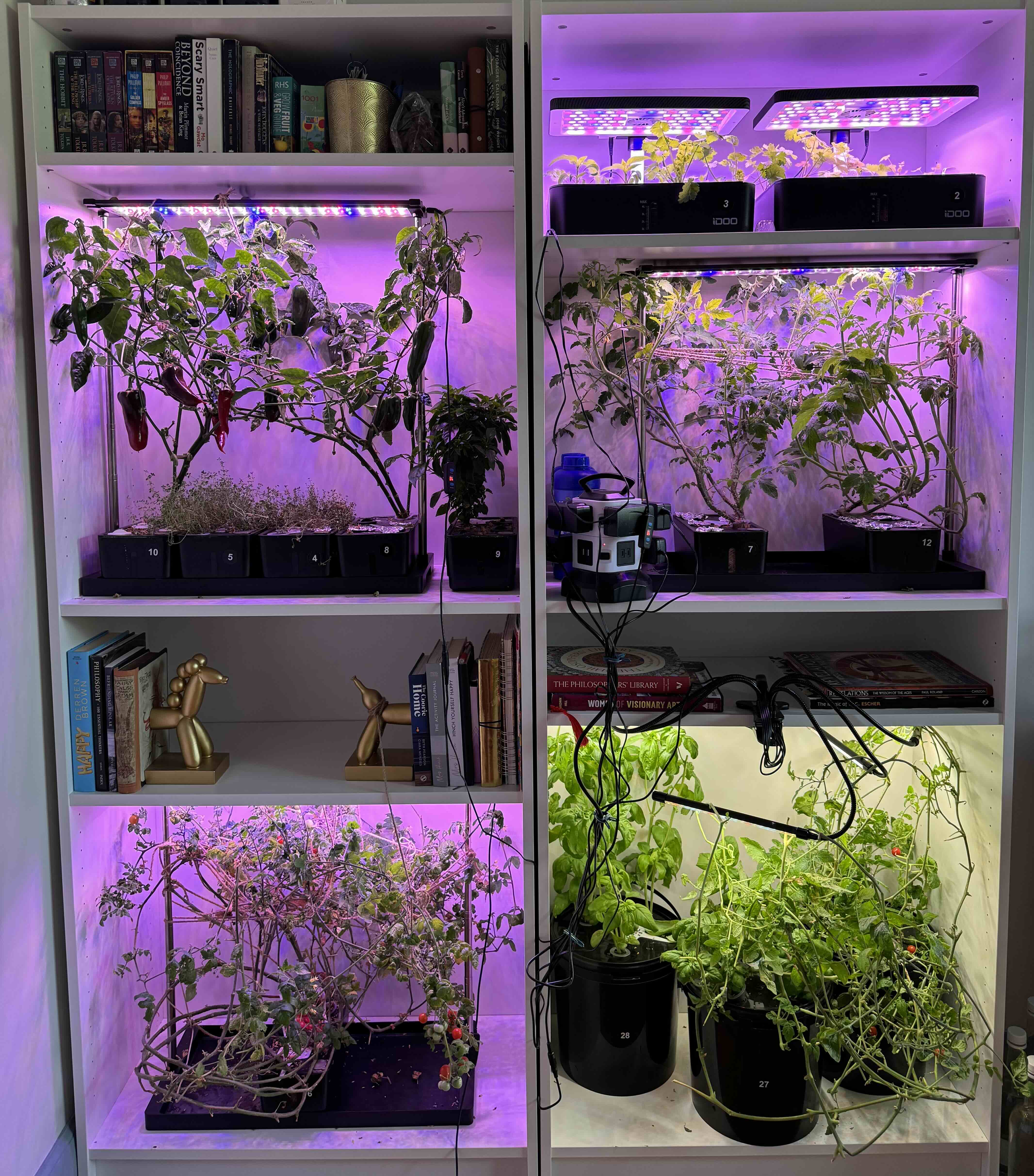 Indoor Farm Shelf