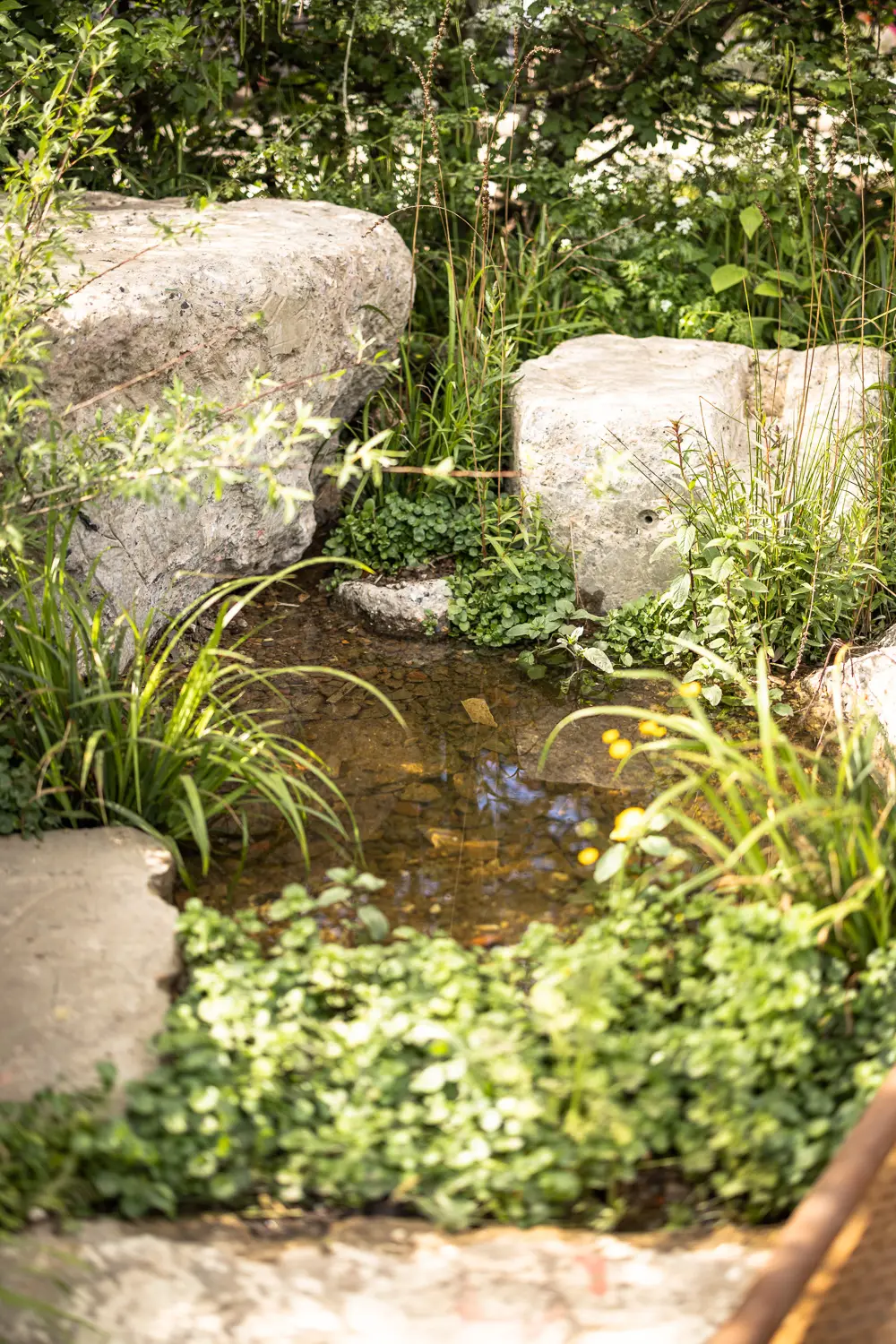 A serene garden featuring lush greenery, stone pathways, and natural landscaping elements.