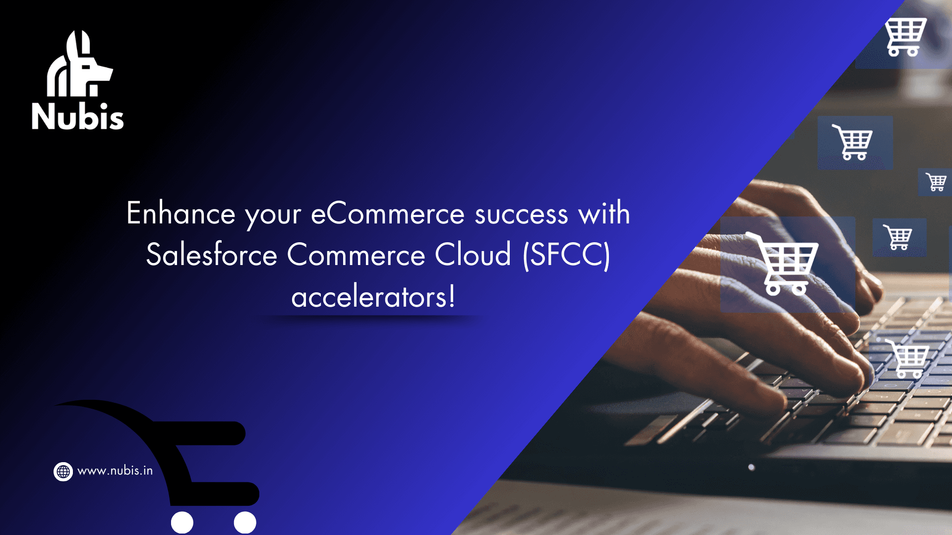 Visual depicting accelerated eCommerce growth and digital solutions