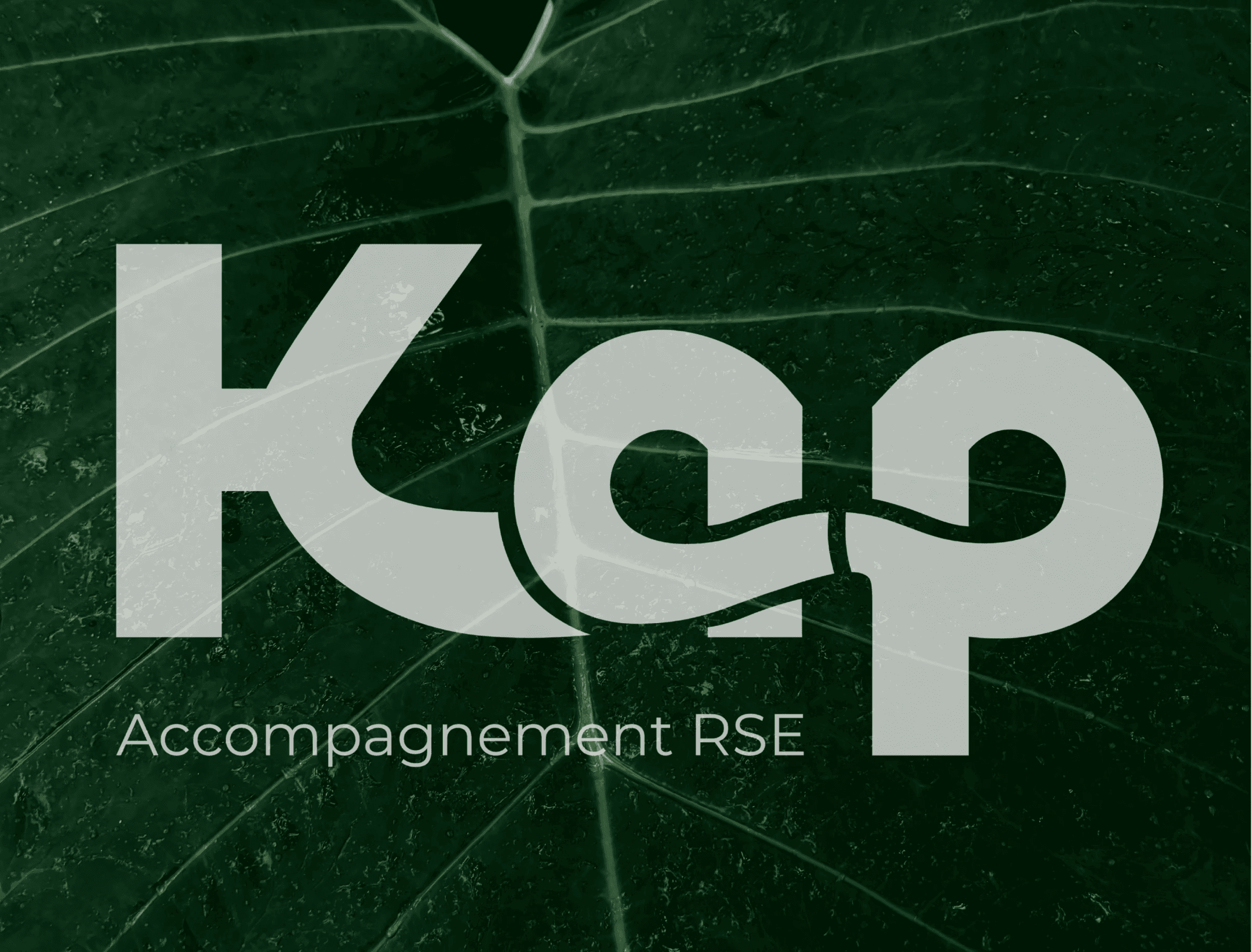 KAP-RSE-logo