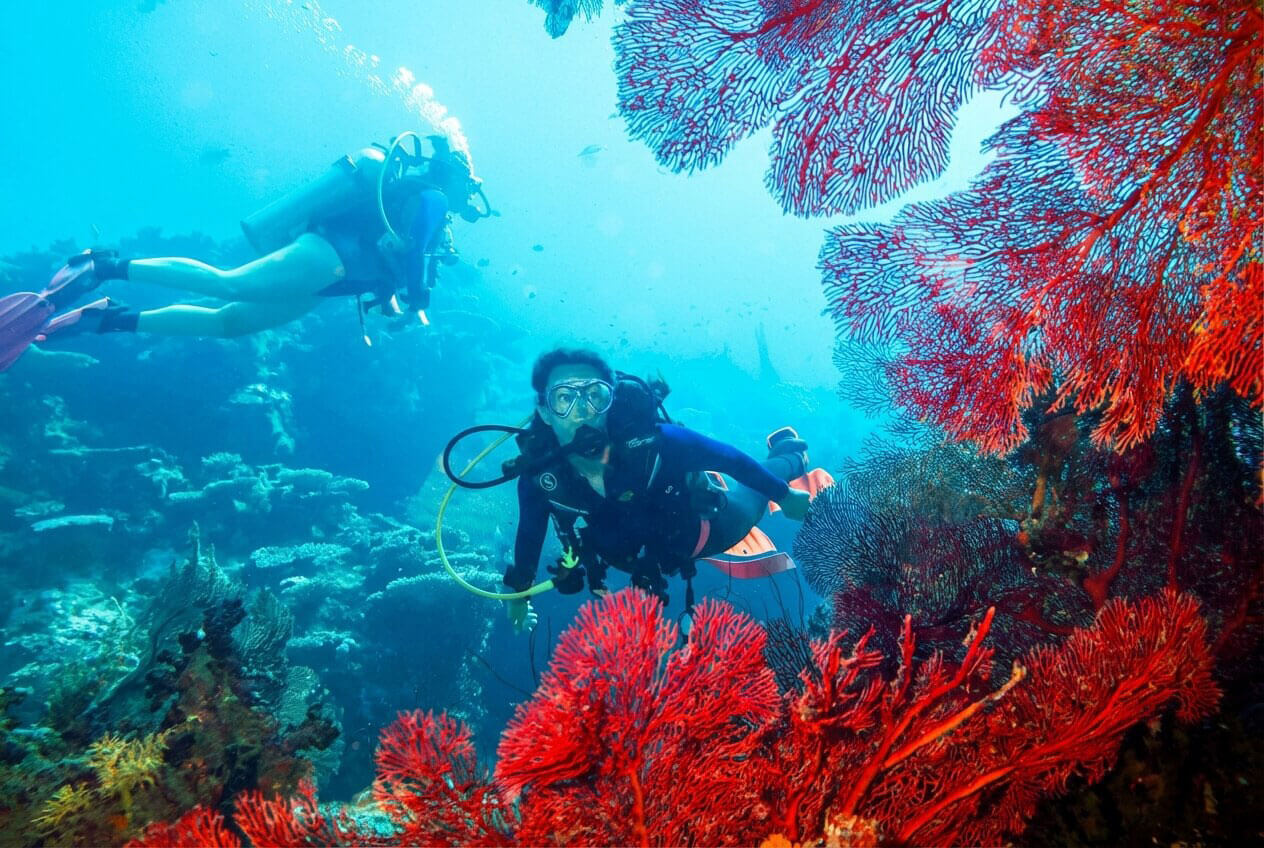 A scuba diver swims past colorful corals in Fiji coastline