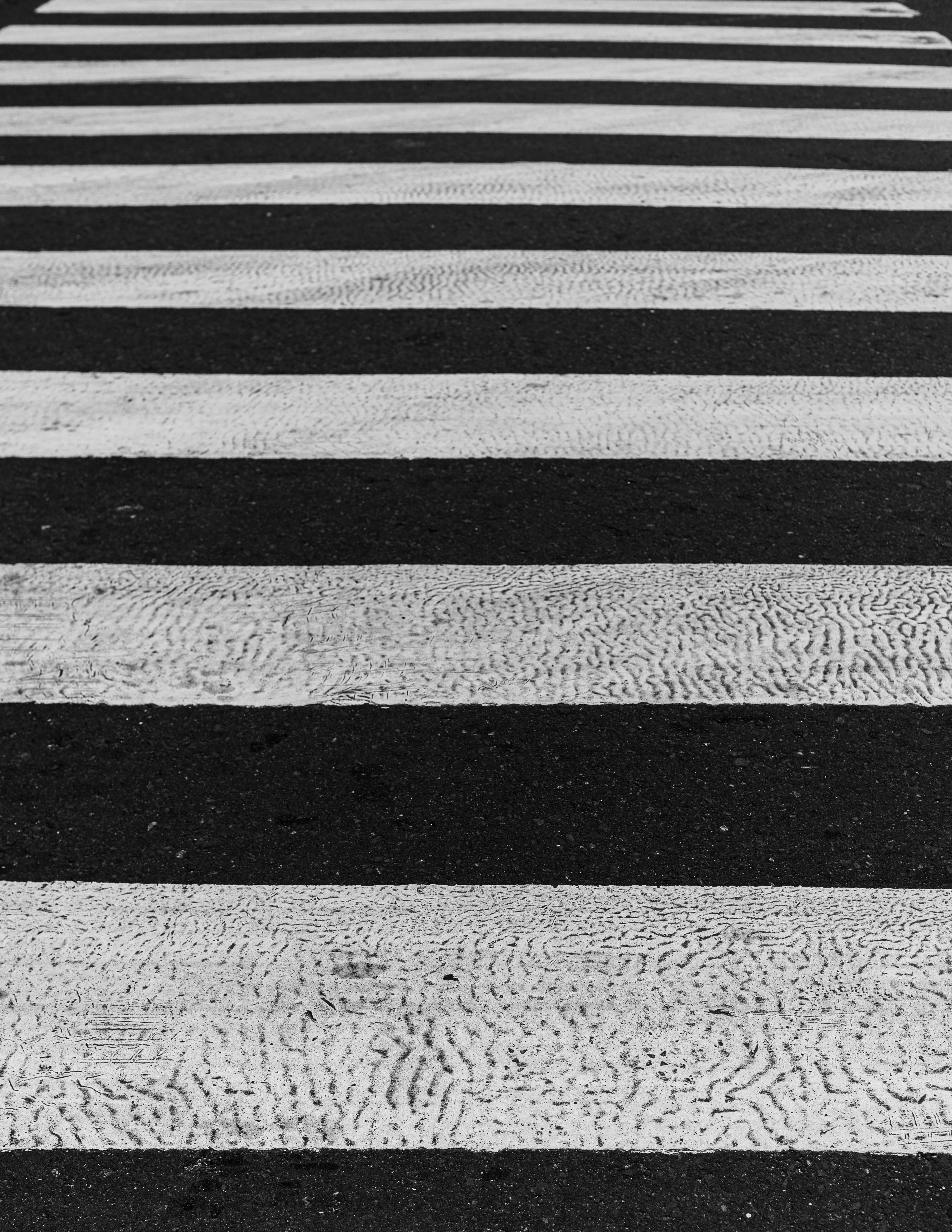Close-up of a dark green leaf showing its textured surface and central vein against a muted background.