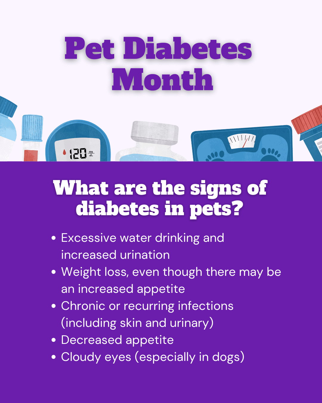 Pet Diabetes Month