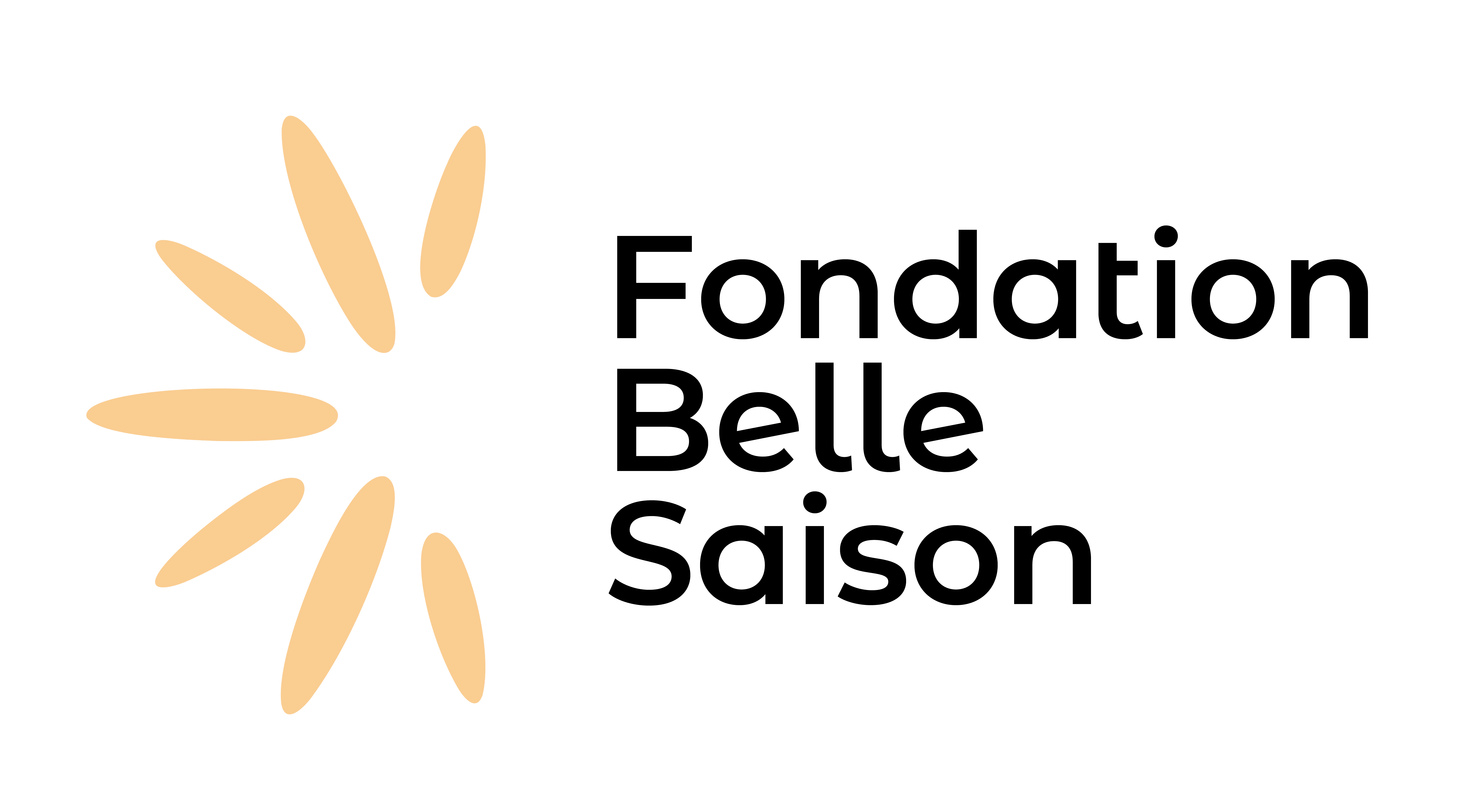 Fondation belle saison logo