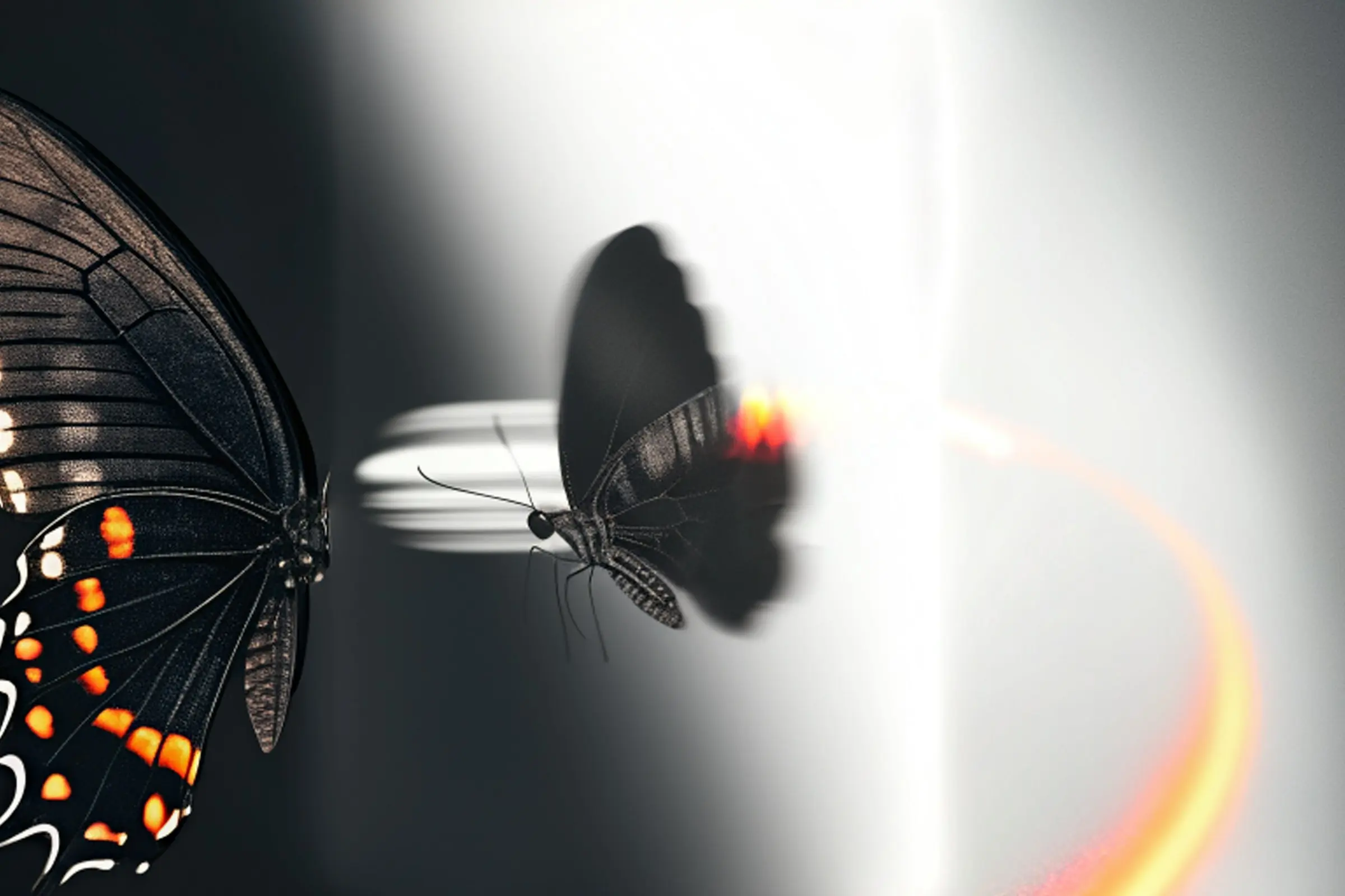 Butterfly emerging from darkness into light, symbolizing evolution, transformation, and the adaptation of life.