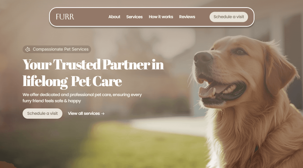 Golden retriever sitting outdoors during a pet care photoshoot